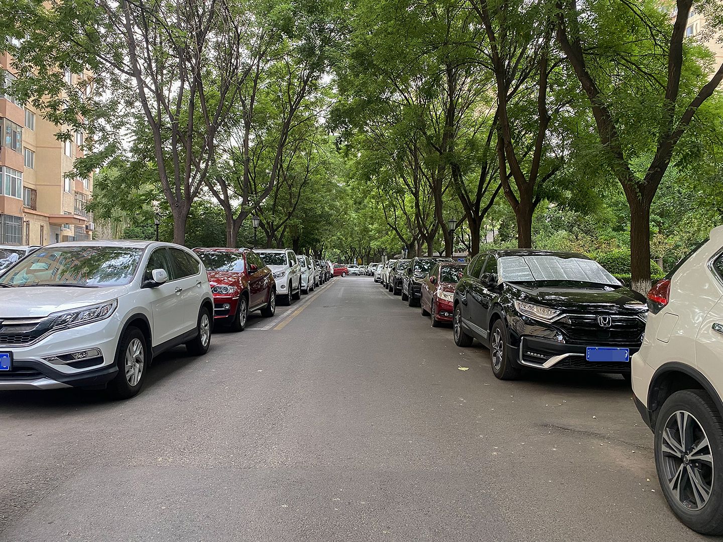 北苑家园绣菊园 environment