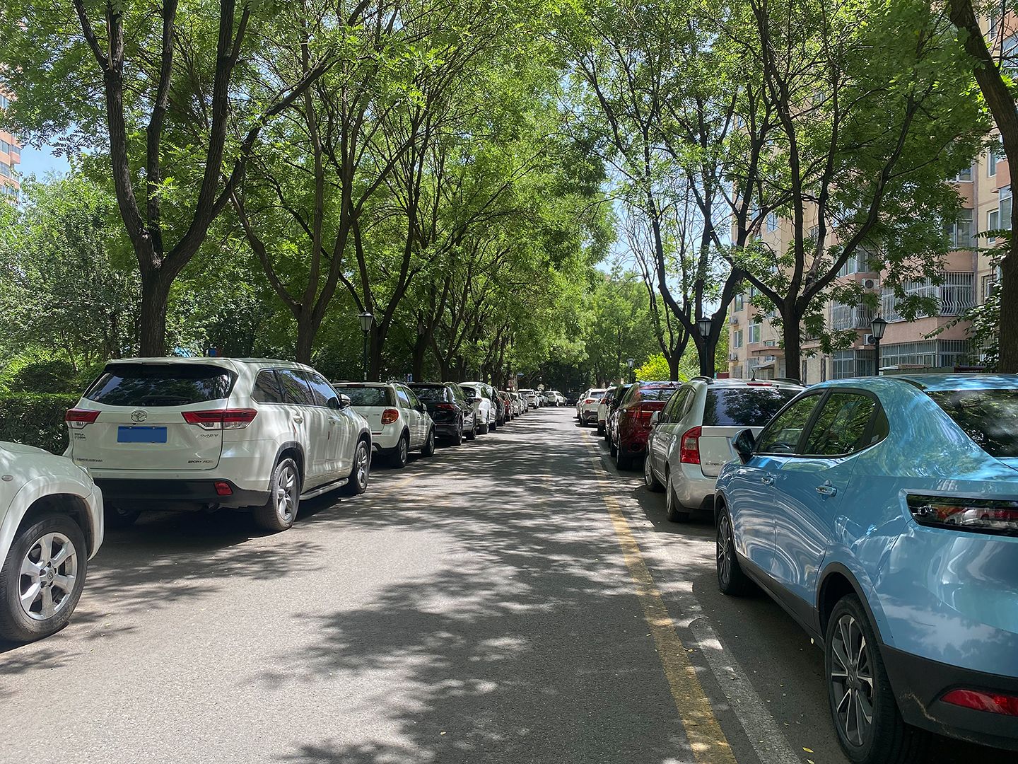 北苑家园绣菊园 environment