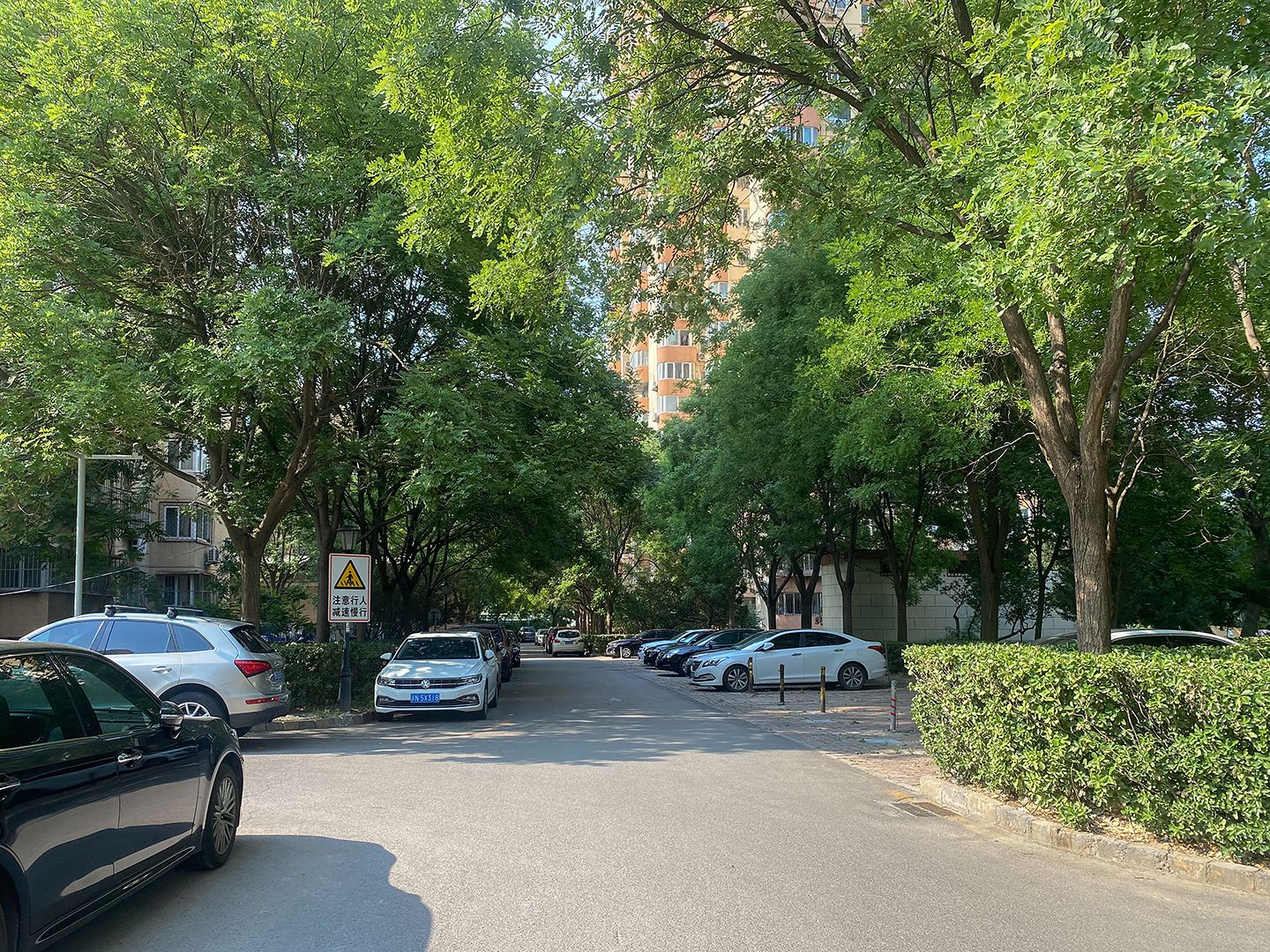 北苑家园绣菊园 environment