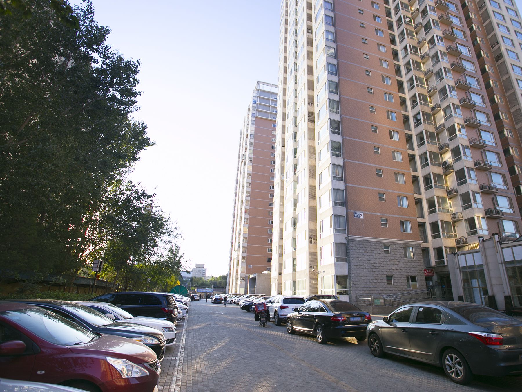 碧兴园 environment