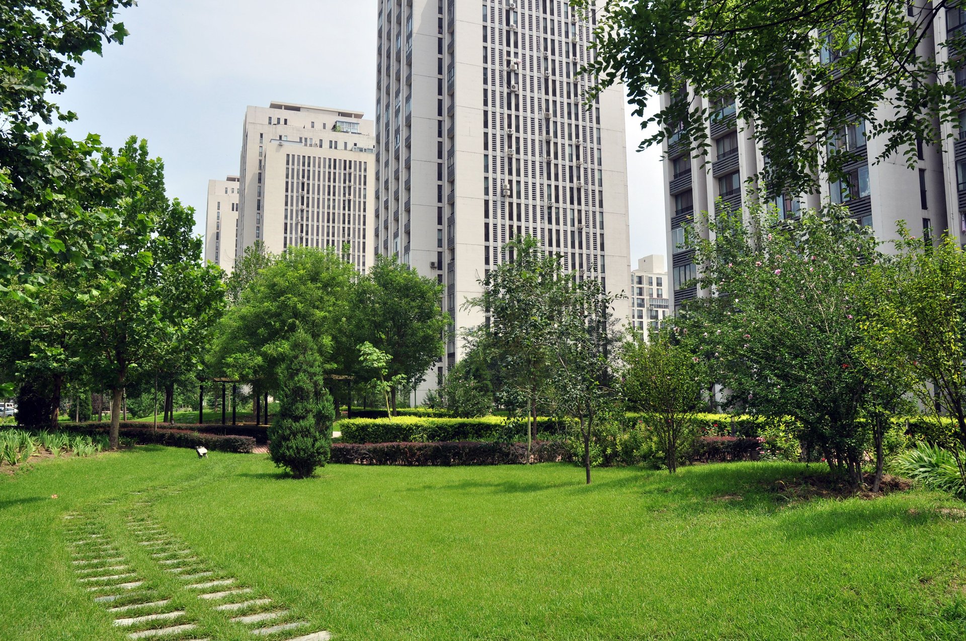 柏林爱乐二期 environment