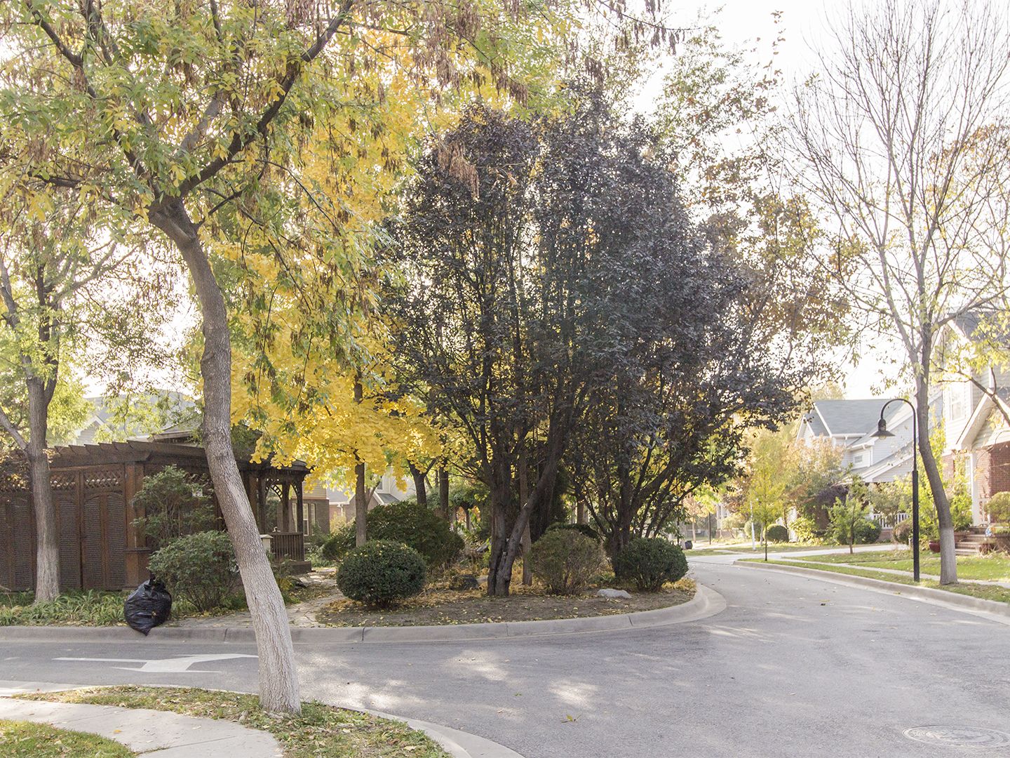 波特兰花园一期 environment