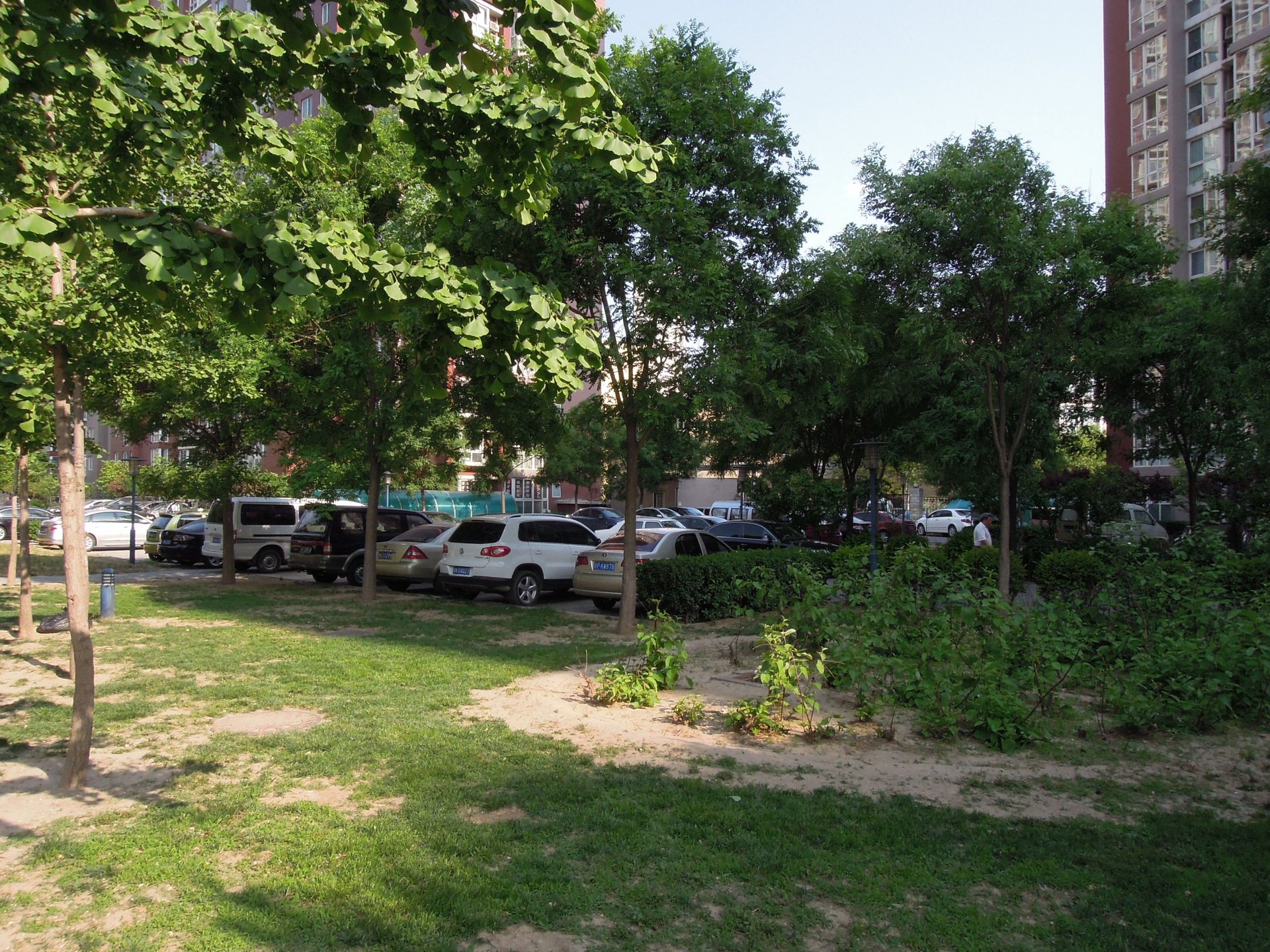 彩虹城四区 environment