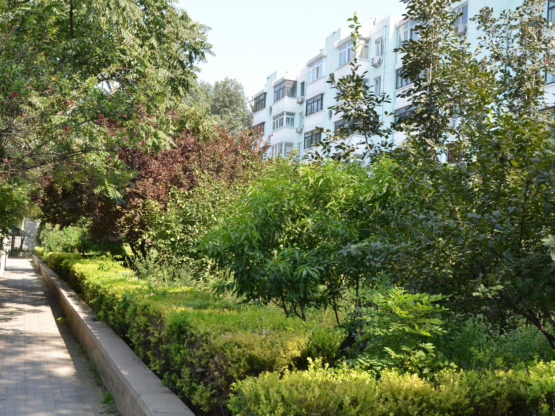 畅春园 environment