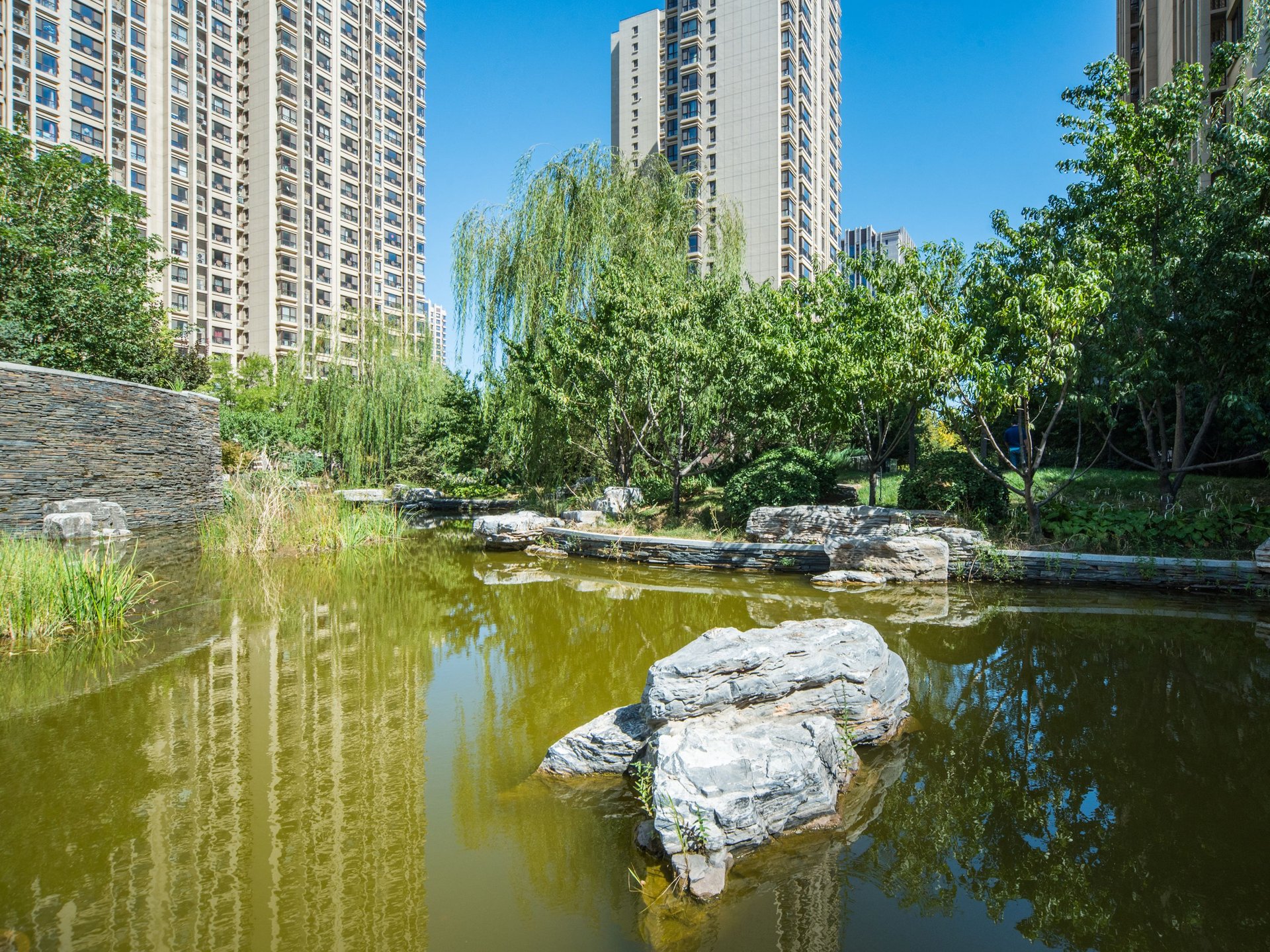 常楹公元 environment