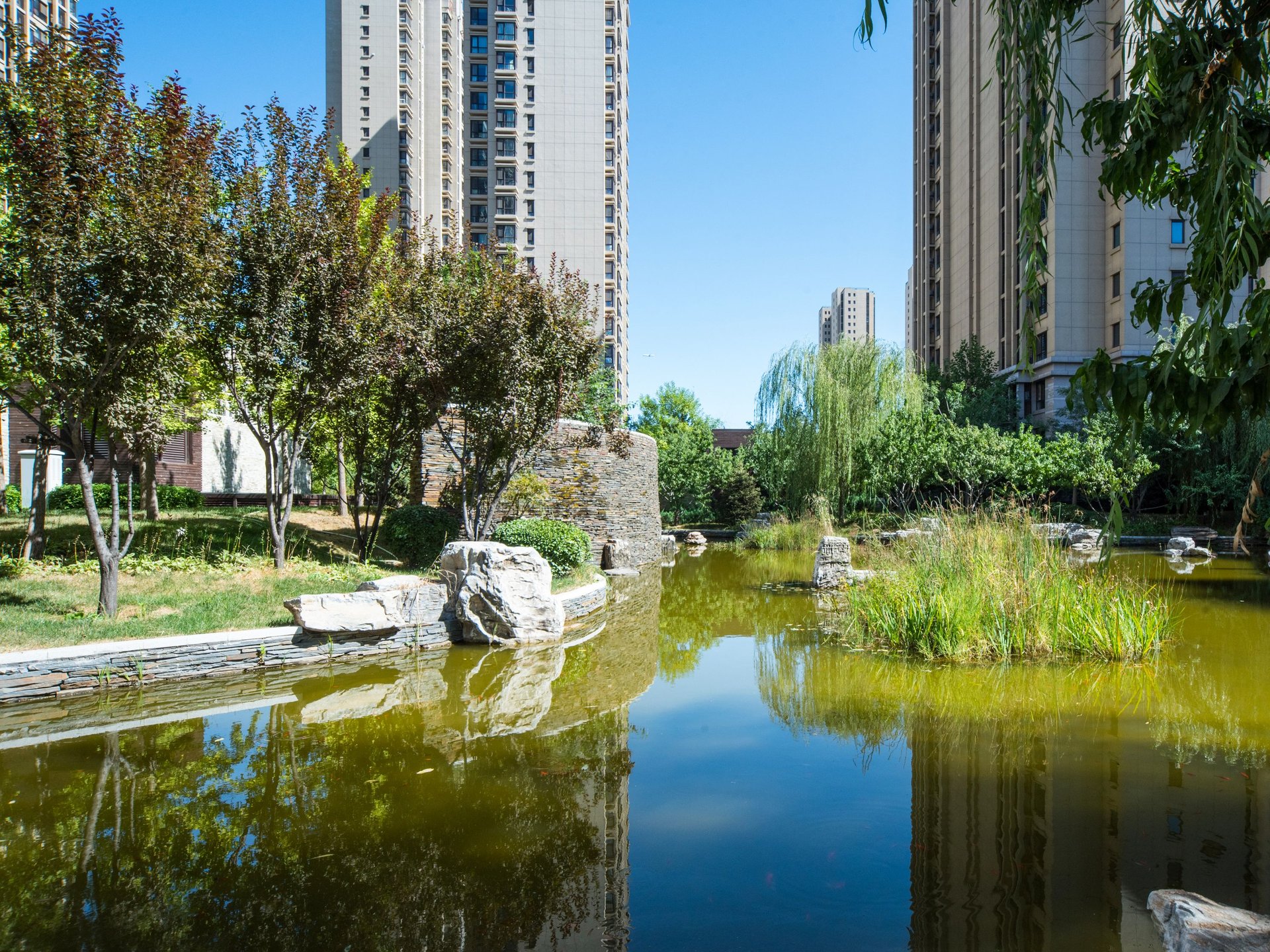 常楹公元 environment