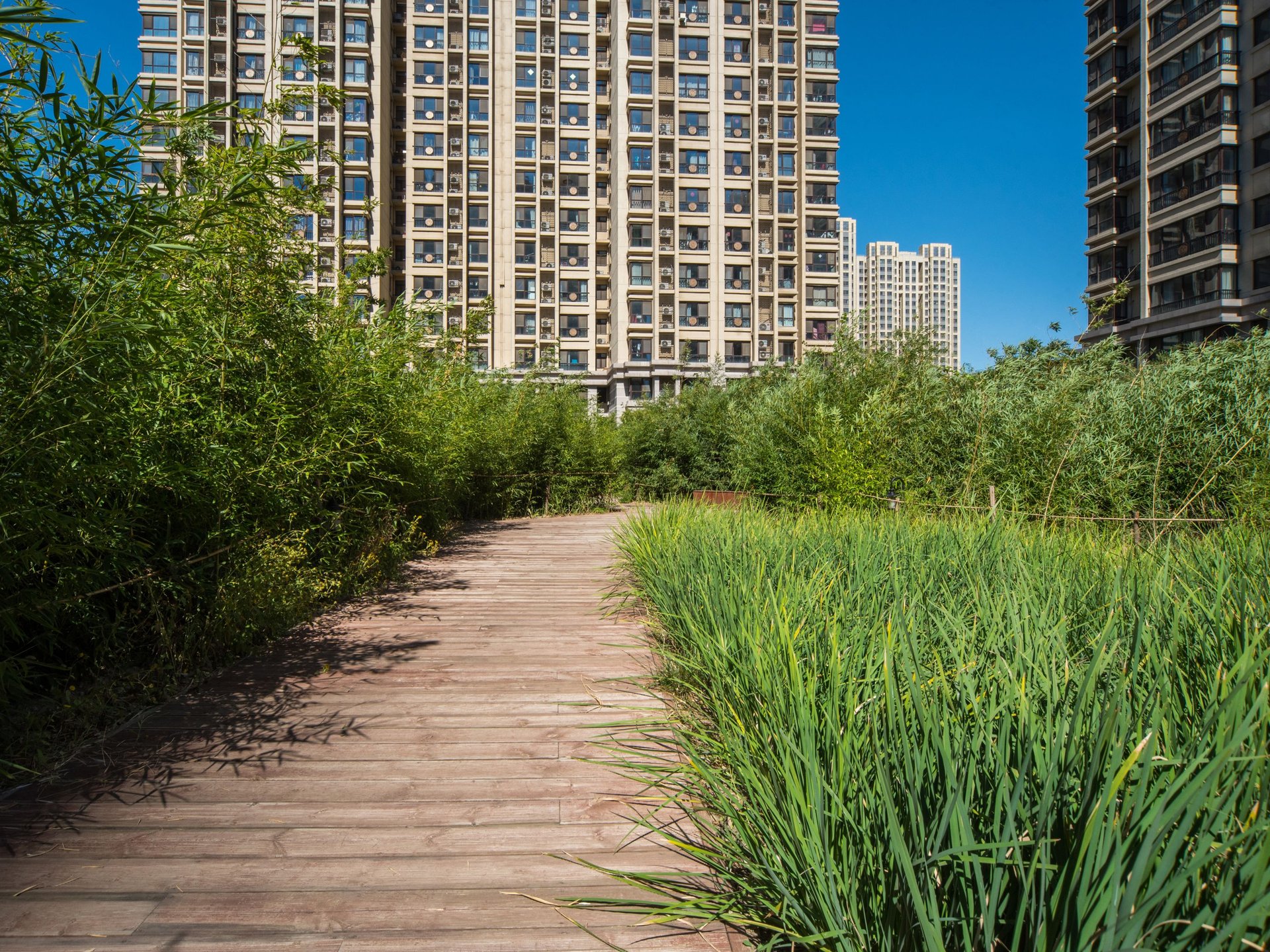 常楹公元 environment