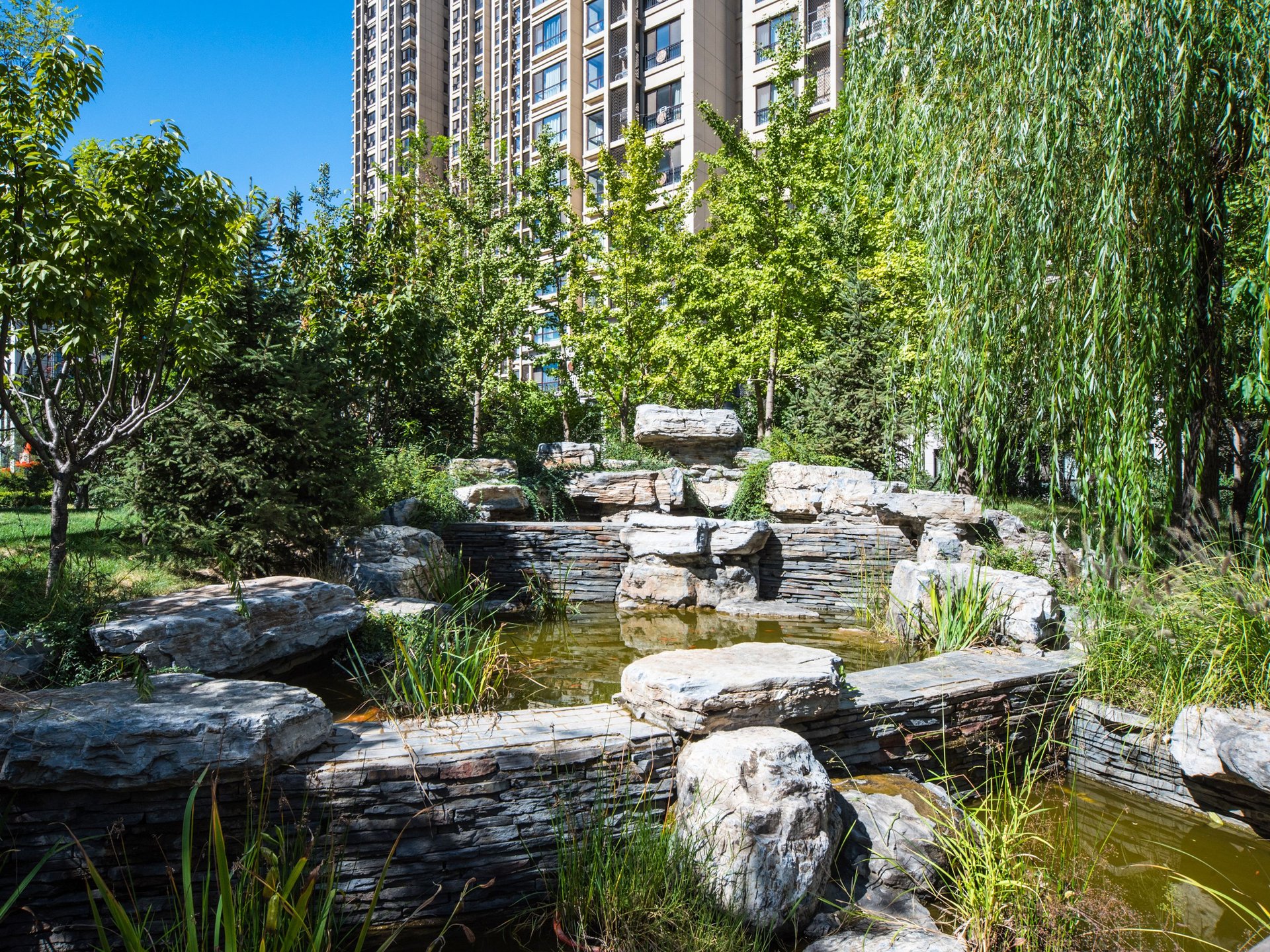 常楹公元 environment