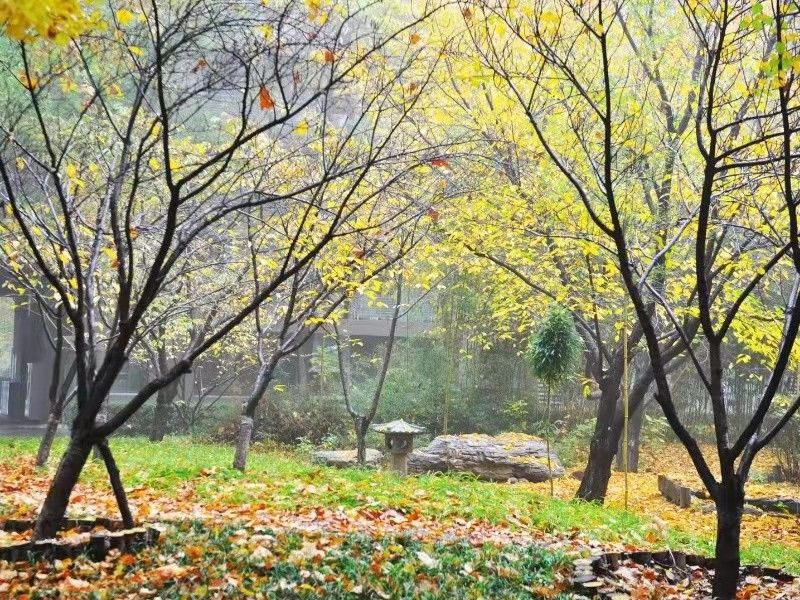 诚品建筑 environment