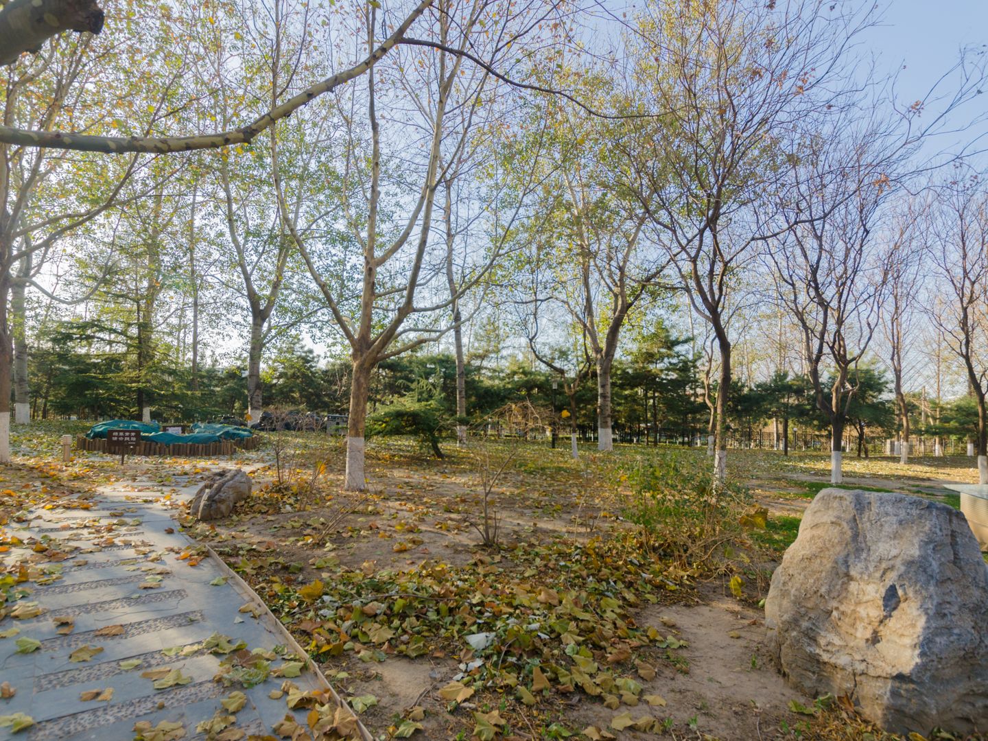 诚品建筑 environment