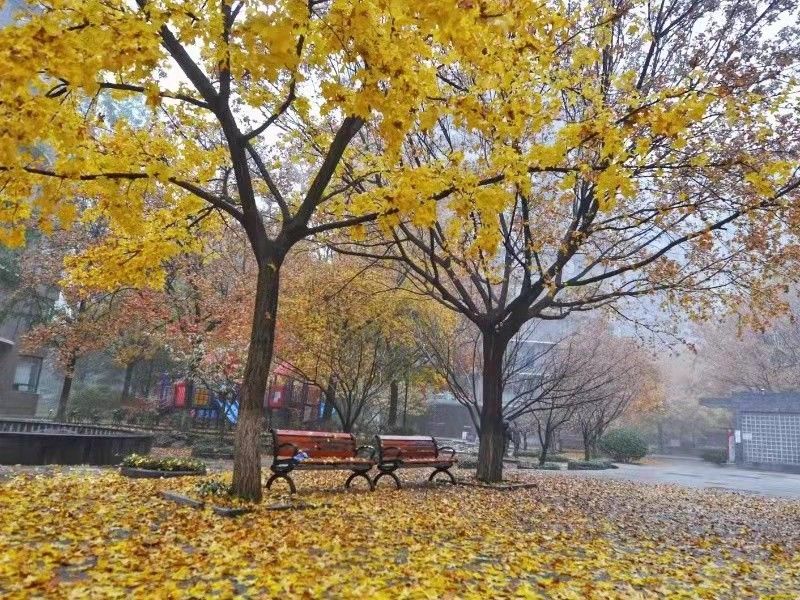 诚品建筑 environment