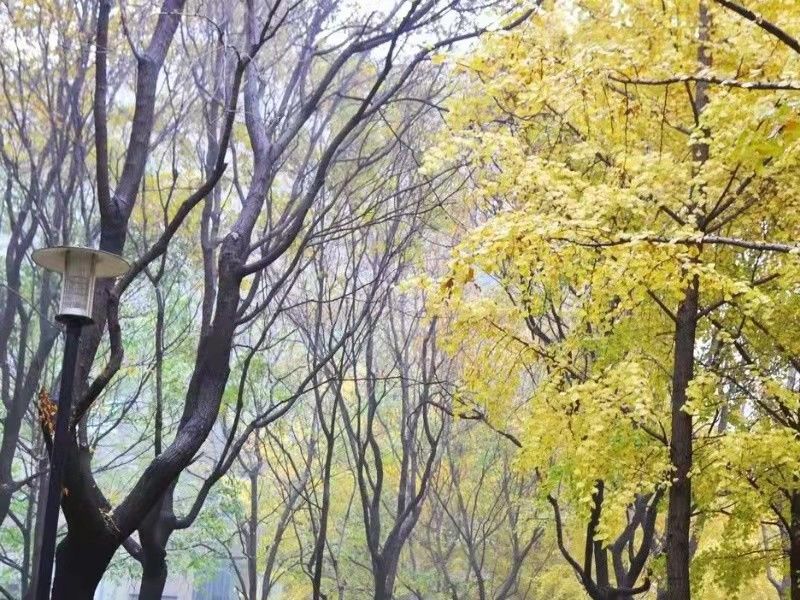 诚品建筑 environment