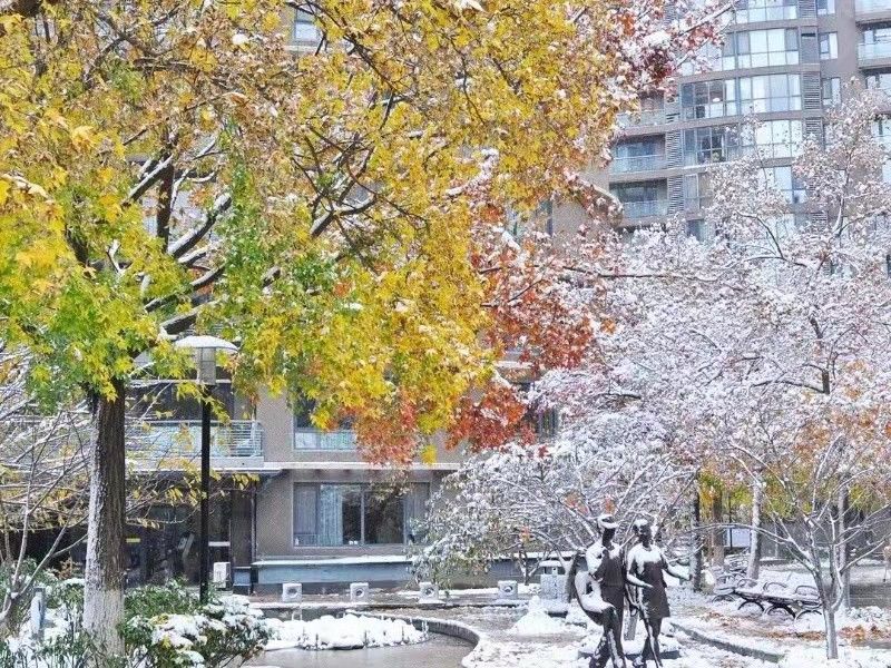 诚品建筑 environment