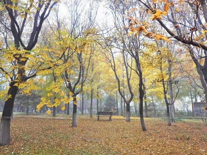 诚品建筑 environment