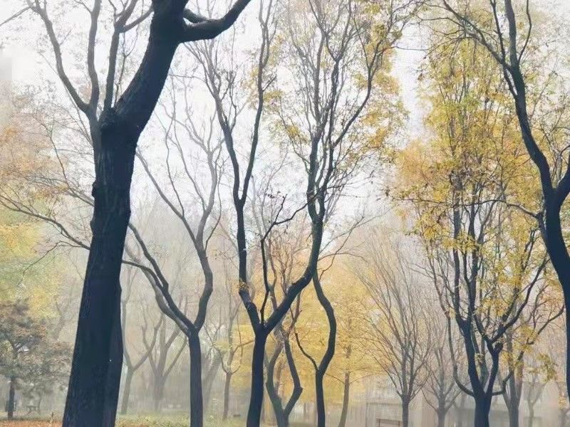 诚品建筑 environment