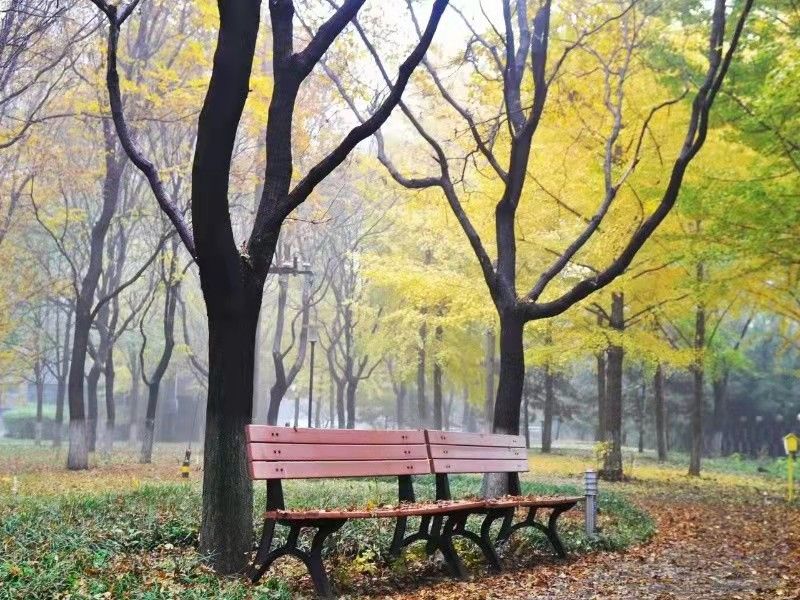 诚品建筑 environment