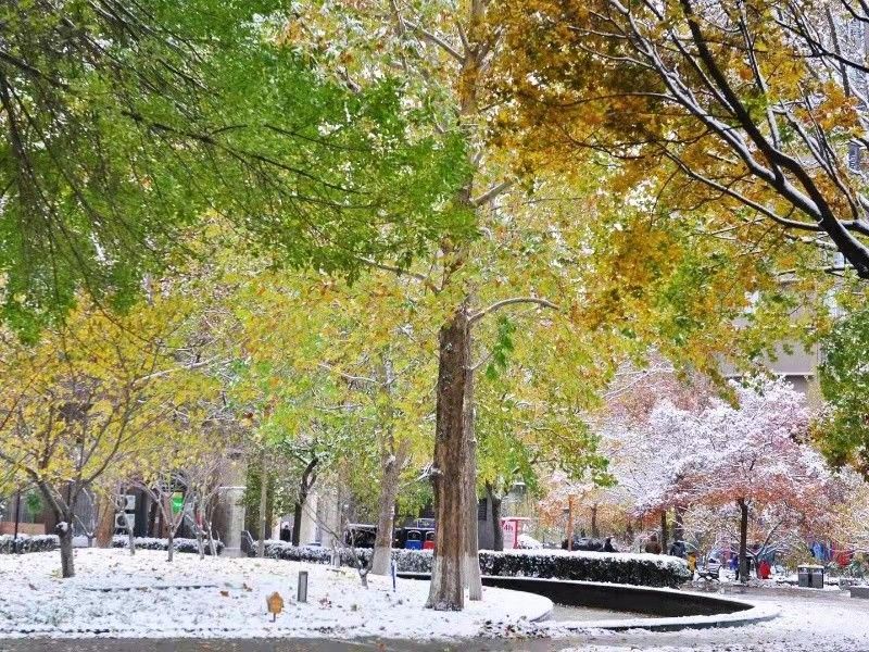 诚品建筑 environment