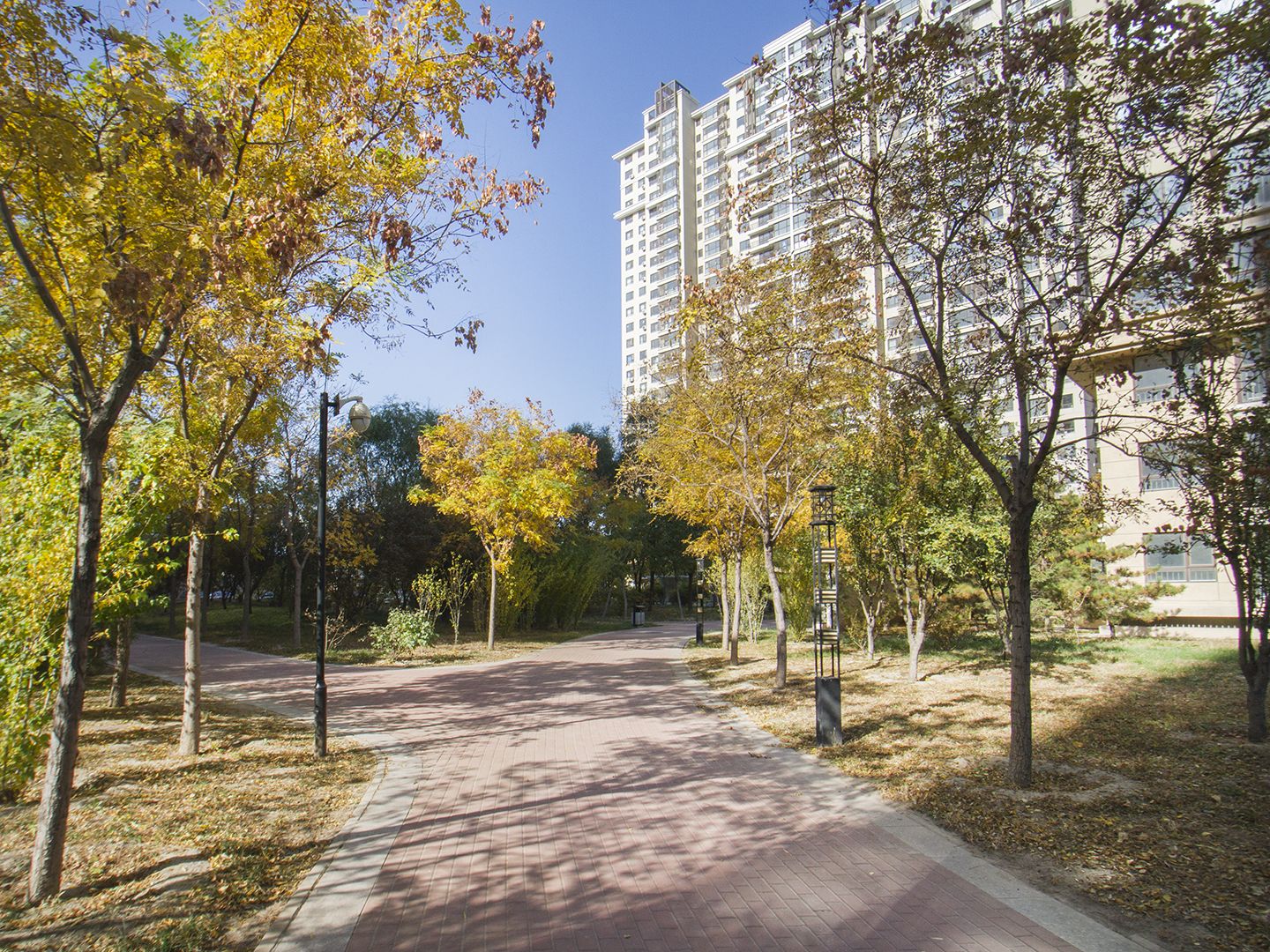 晨光家园C区 environment