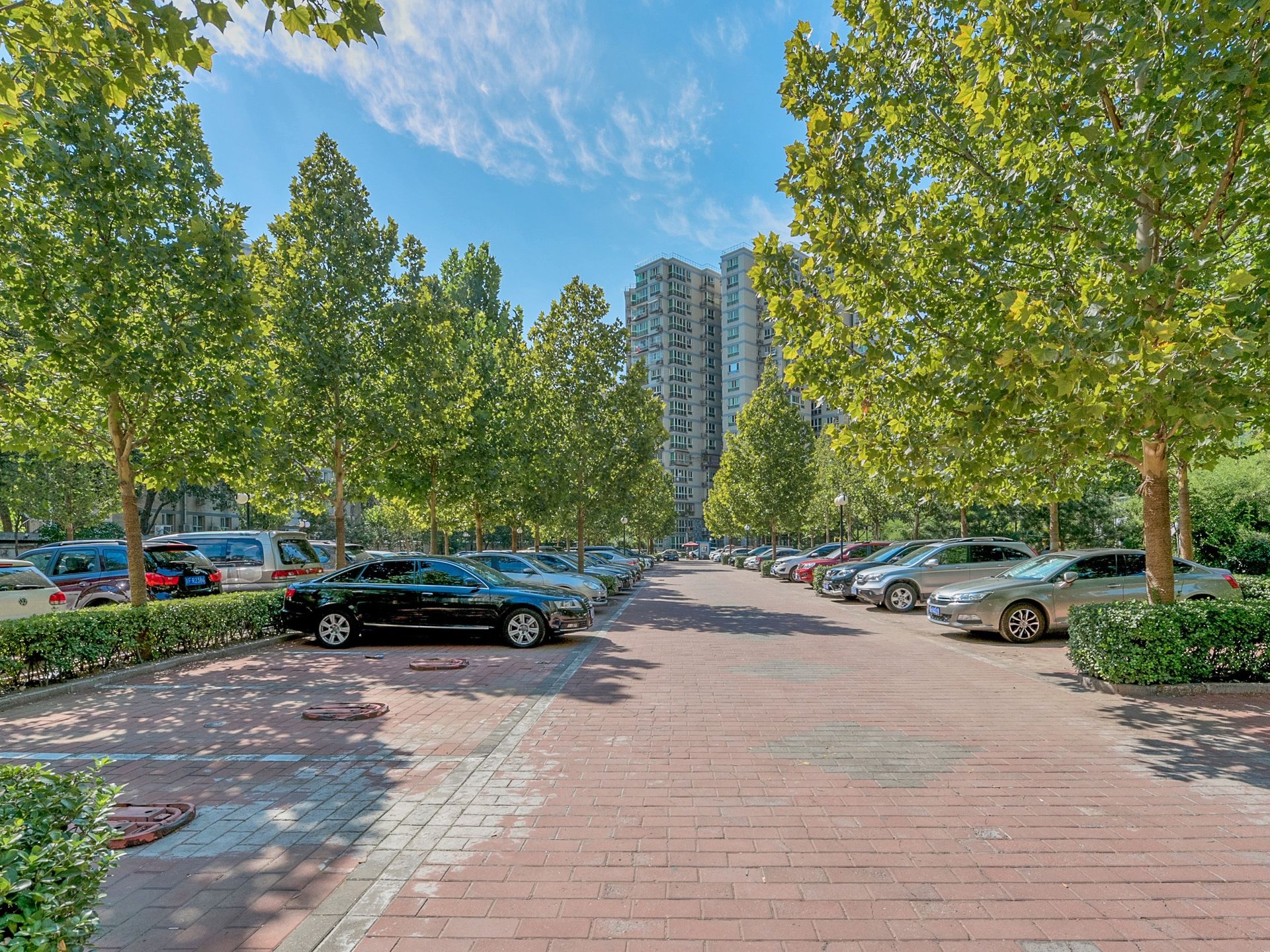 晨月园 environment