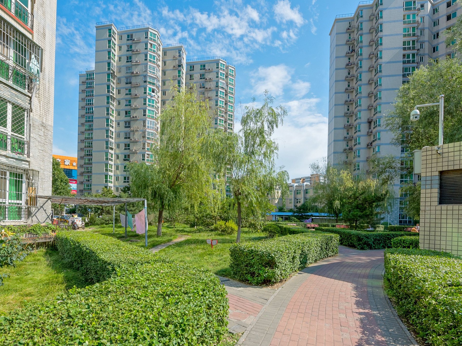 晨月园 environment