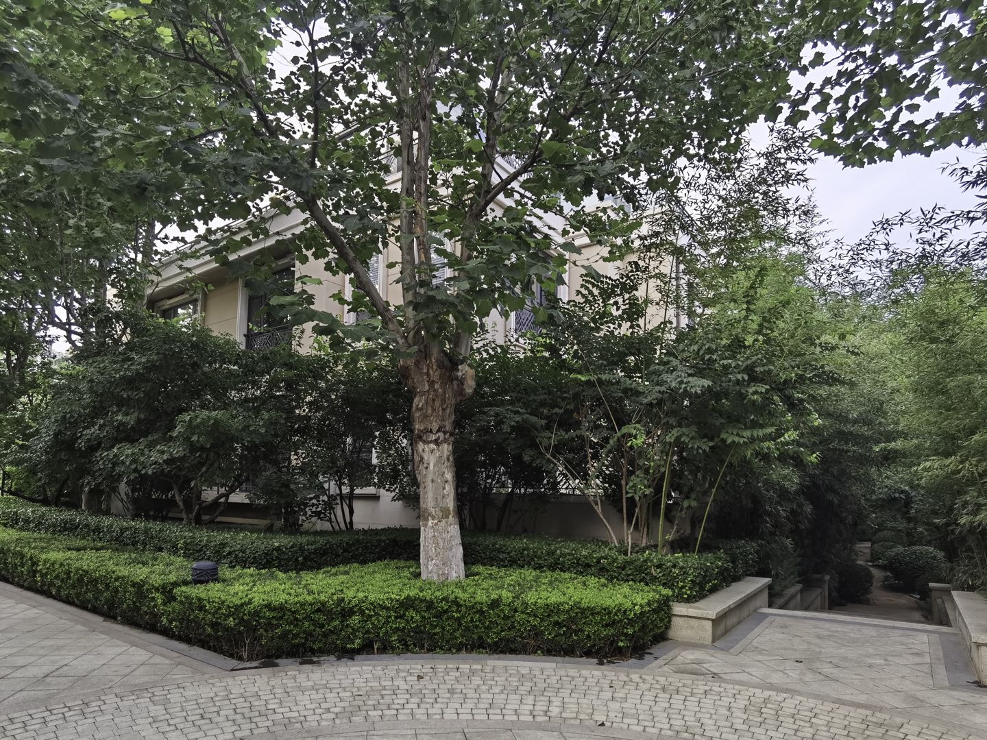 春晖园随园 environment