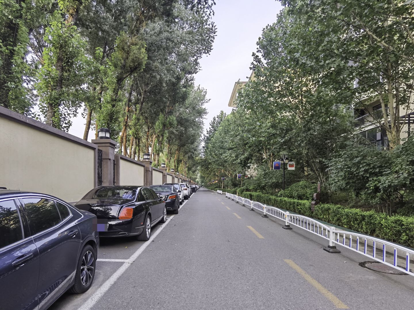 春晖园随园 environment