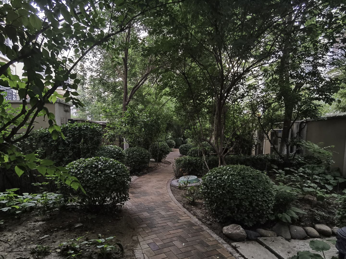 春晖园随园 environment