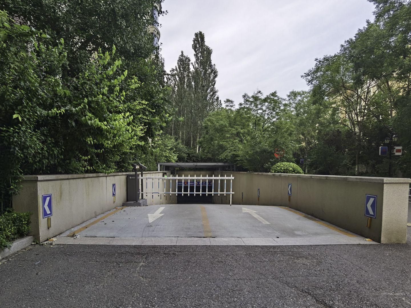 春晖园随园 environment