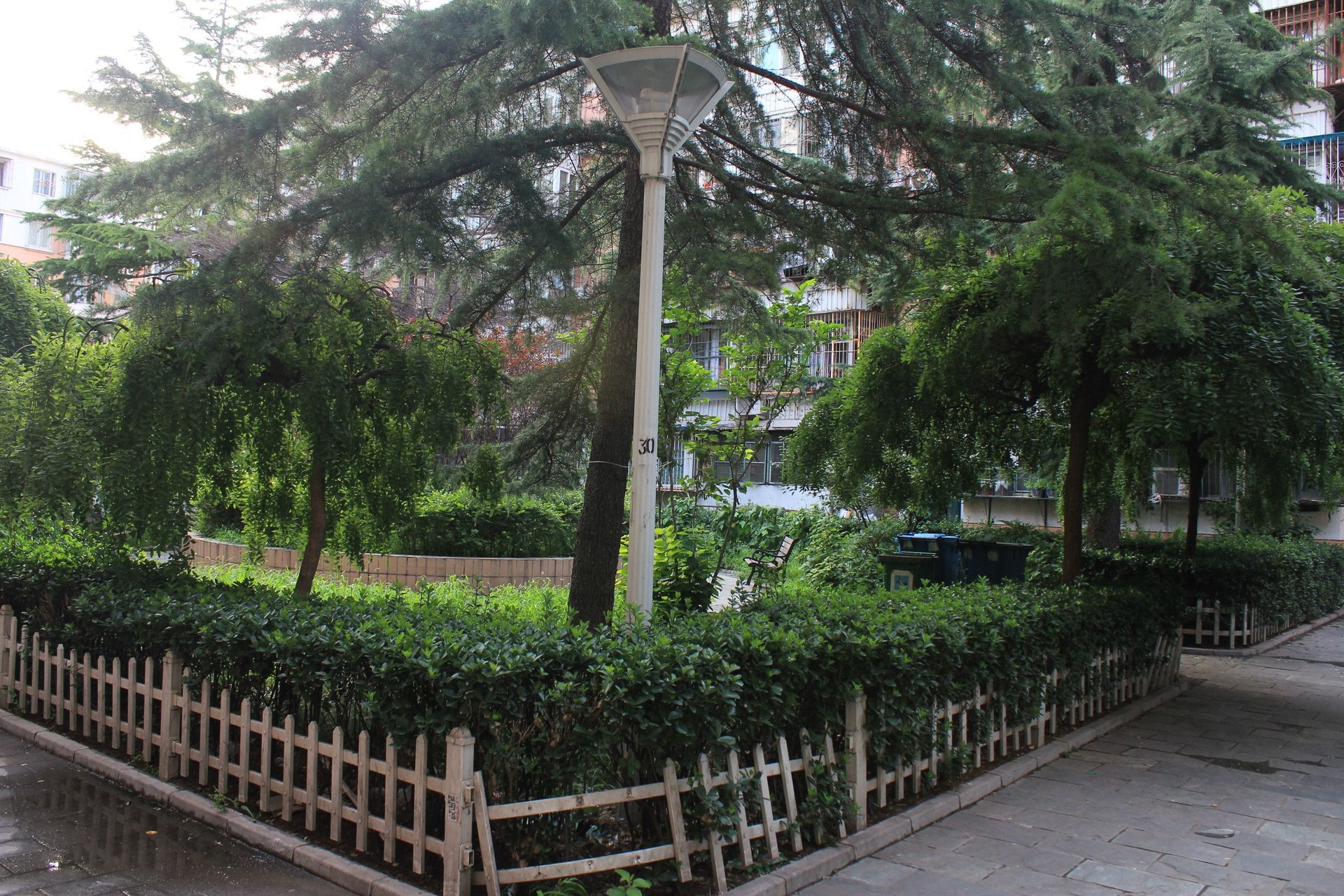 大井胡同 environment