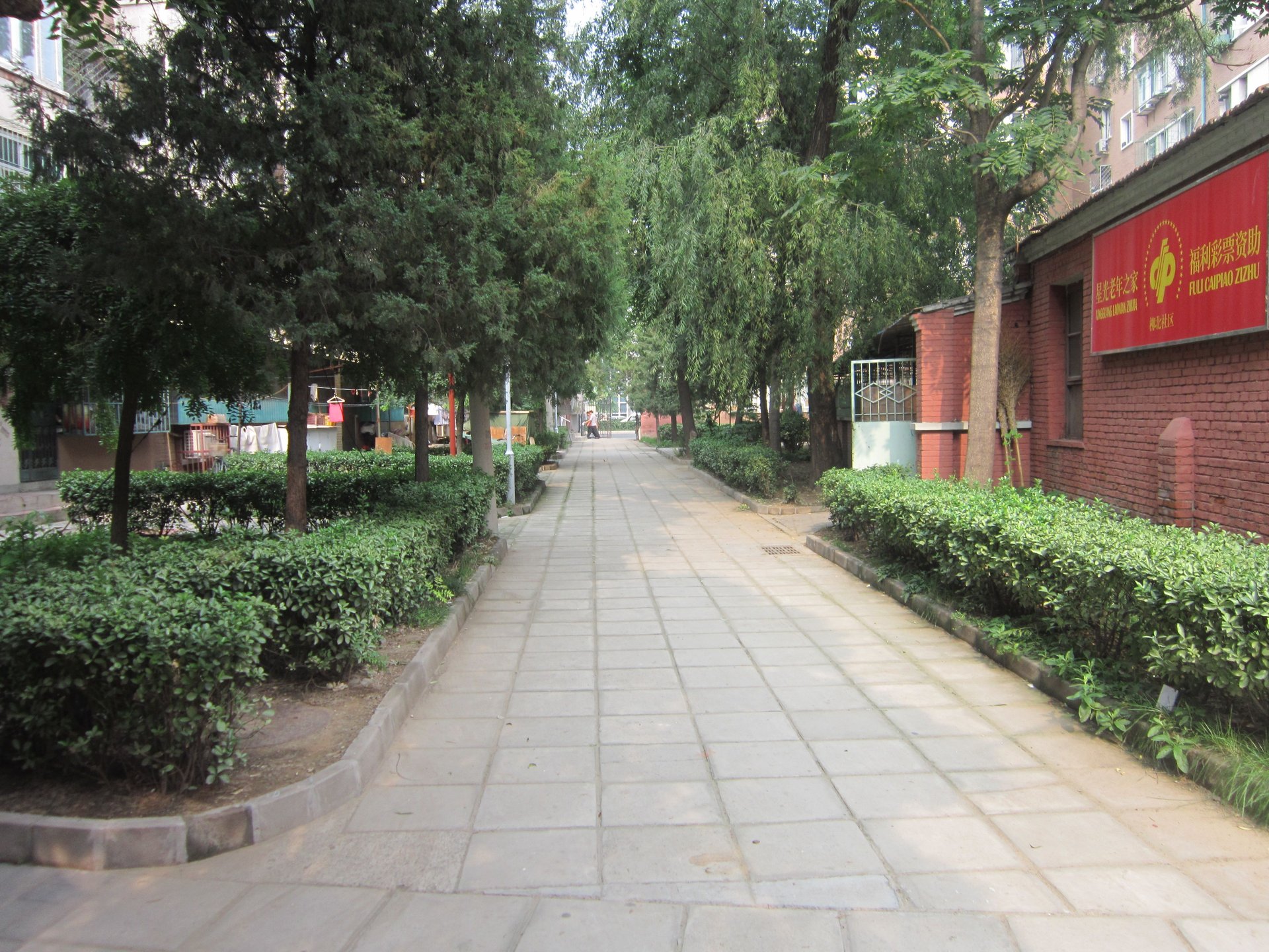 大柳树5号院 environment