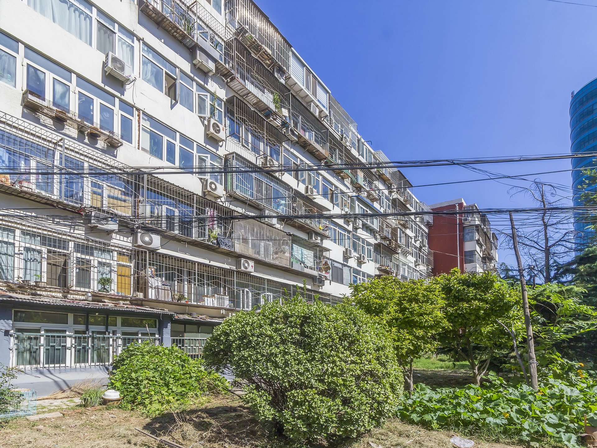 道家园 environment