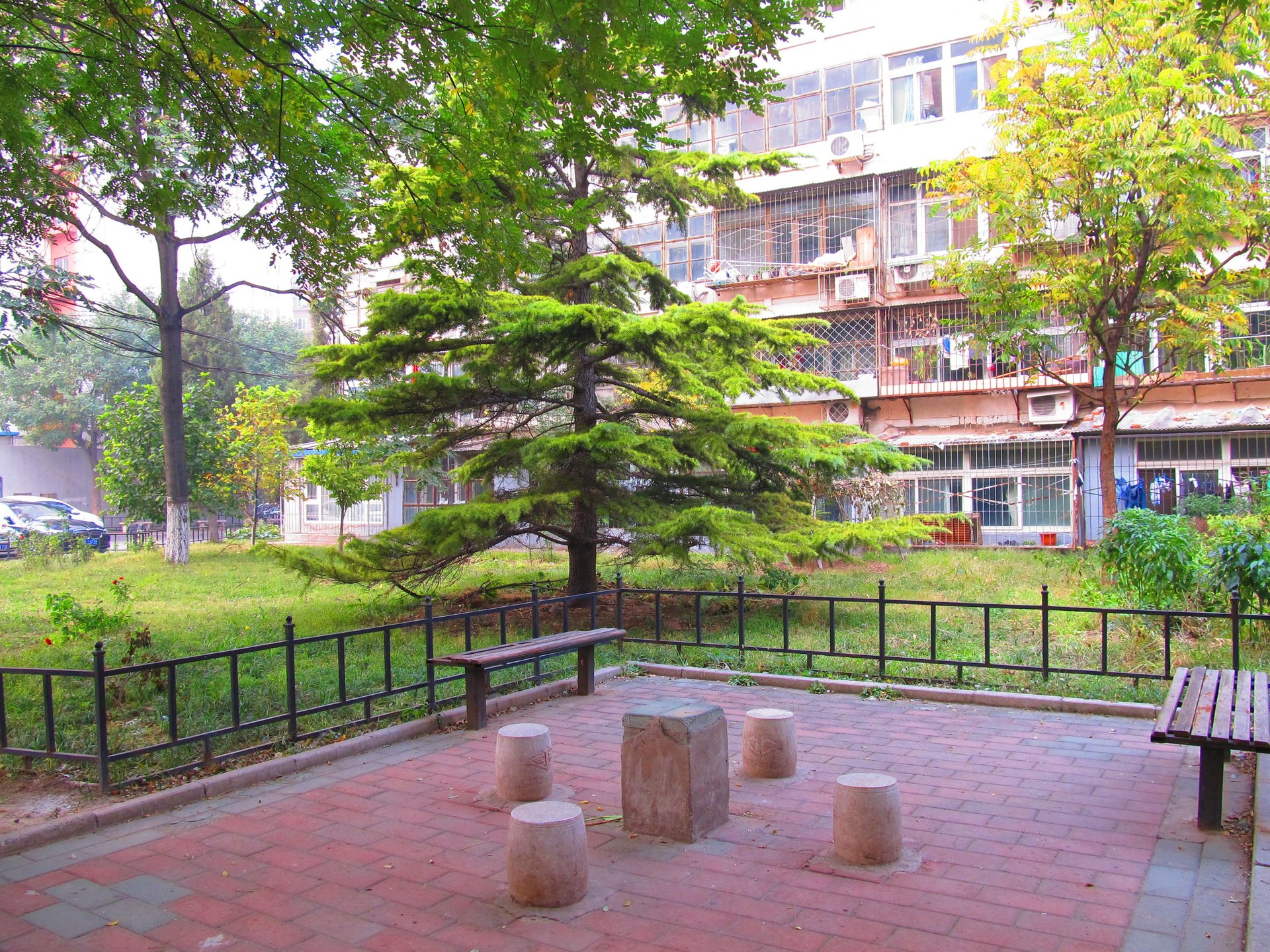 道家园 environment