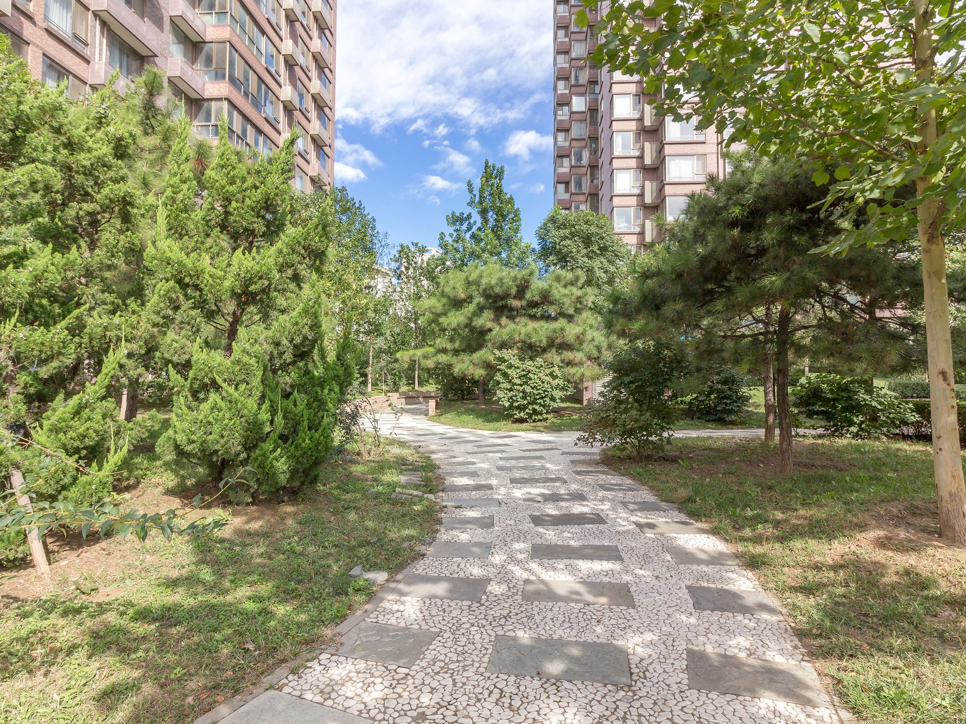 大西洋新城E区 environment