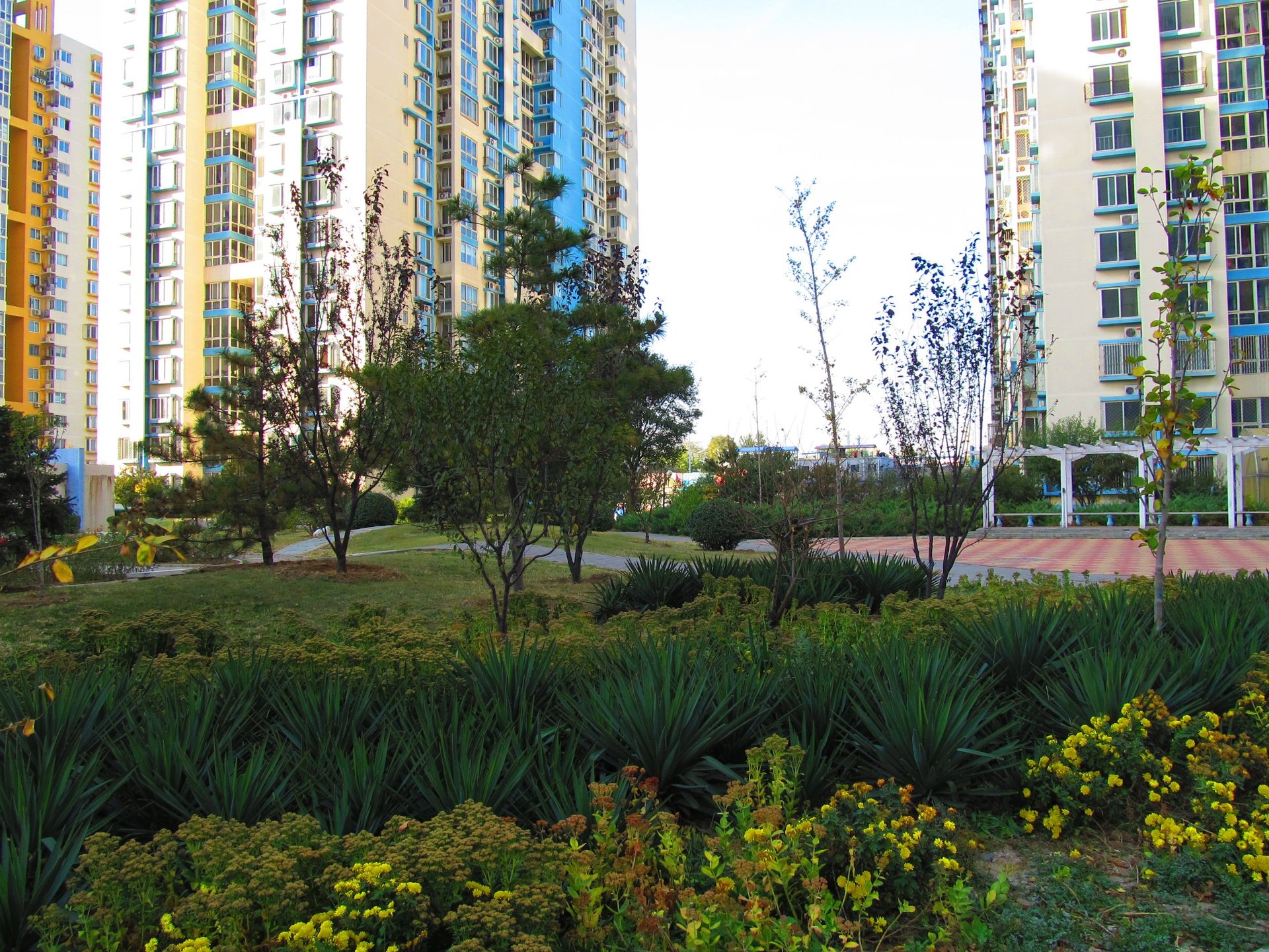 电子城小区 environment