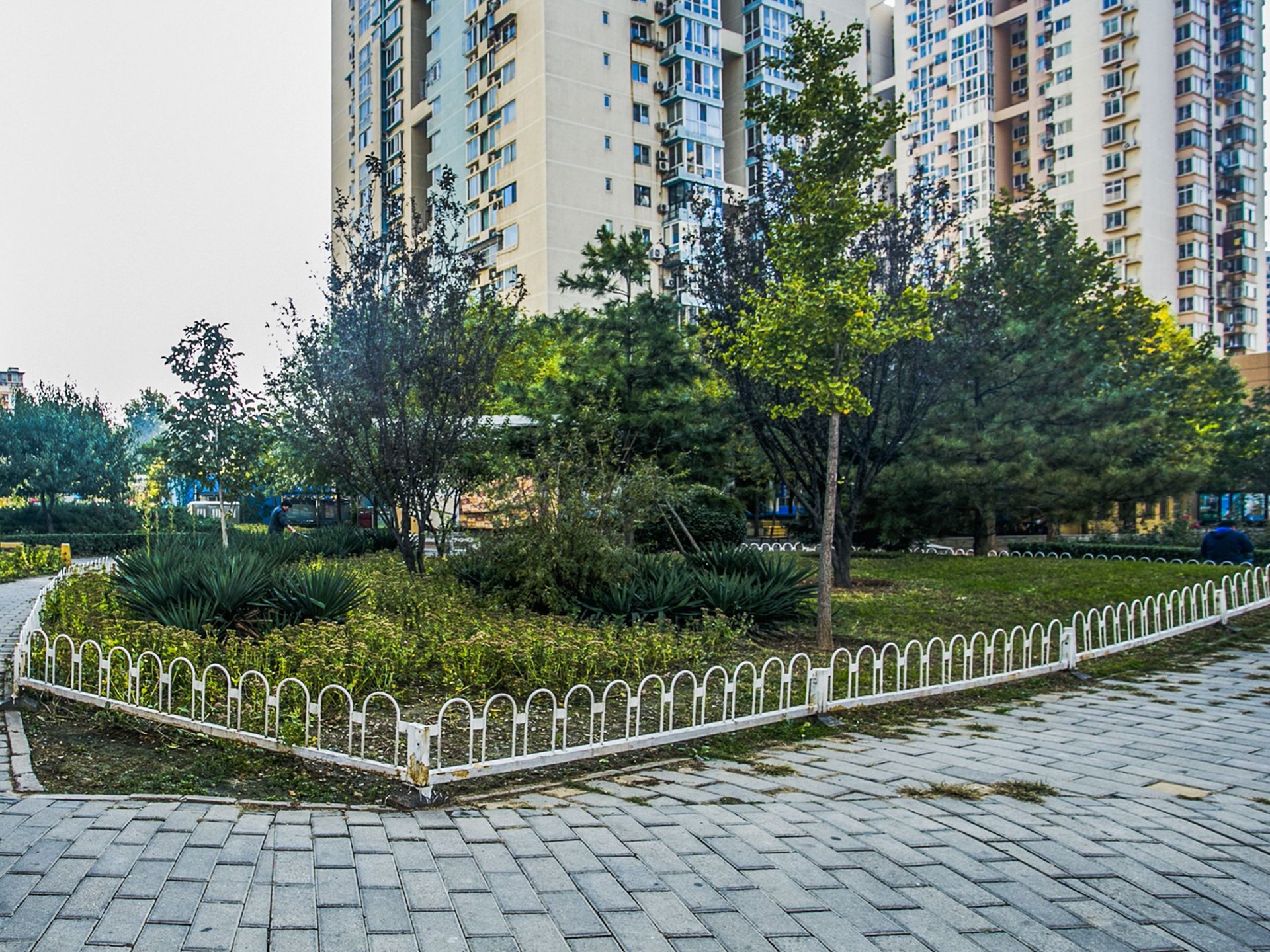 电子城小区 environment