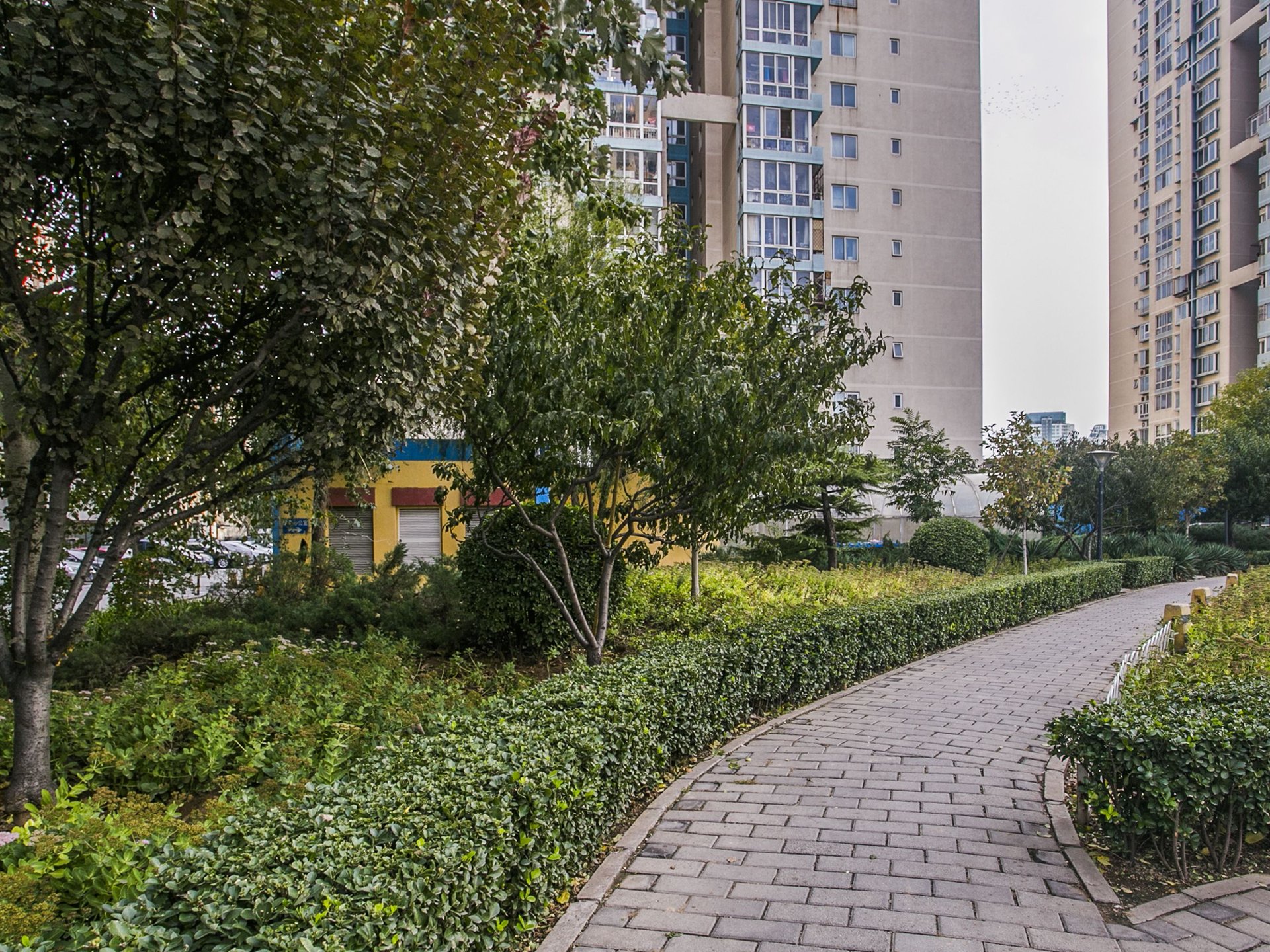 电子城小区 environment