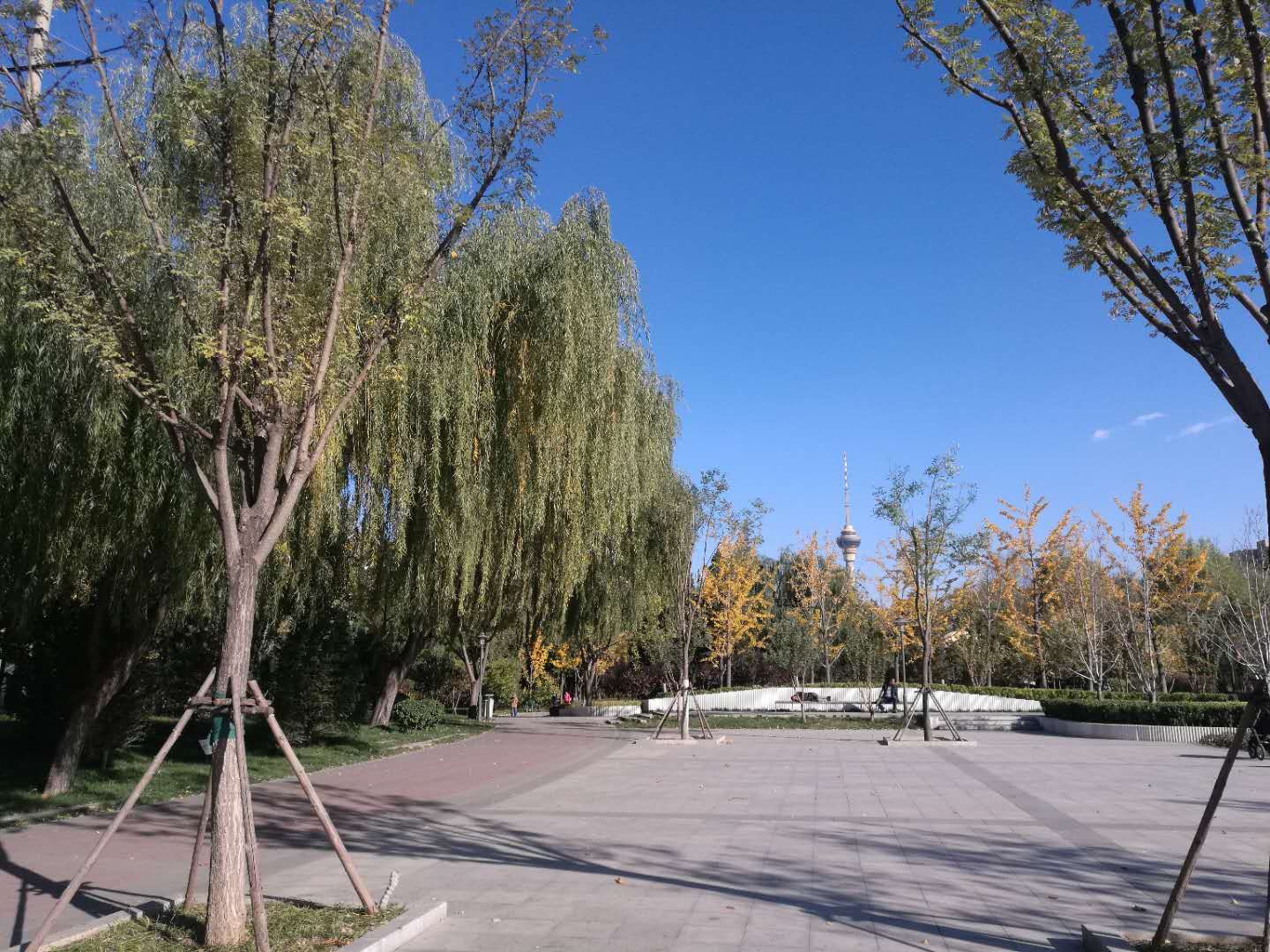 定慧东里 environment