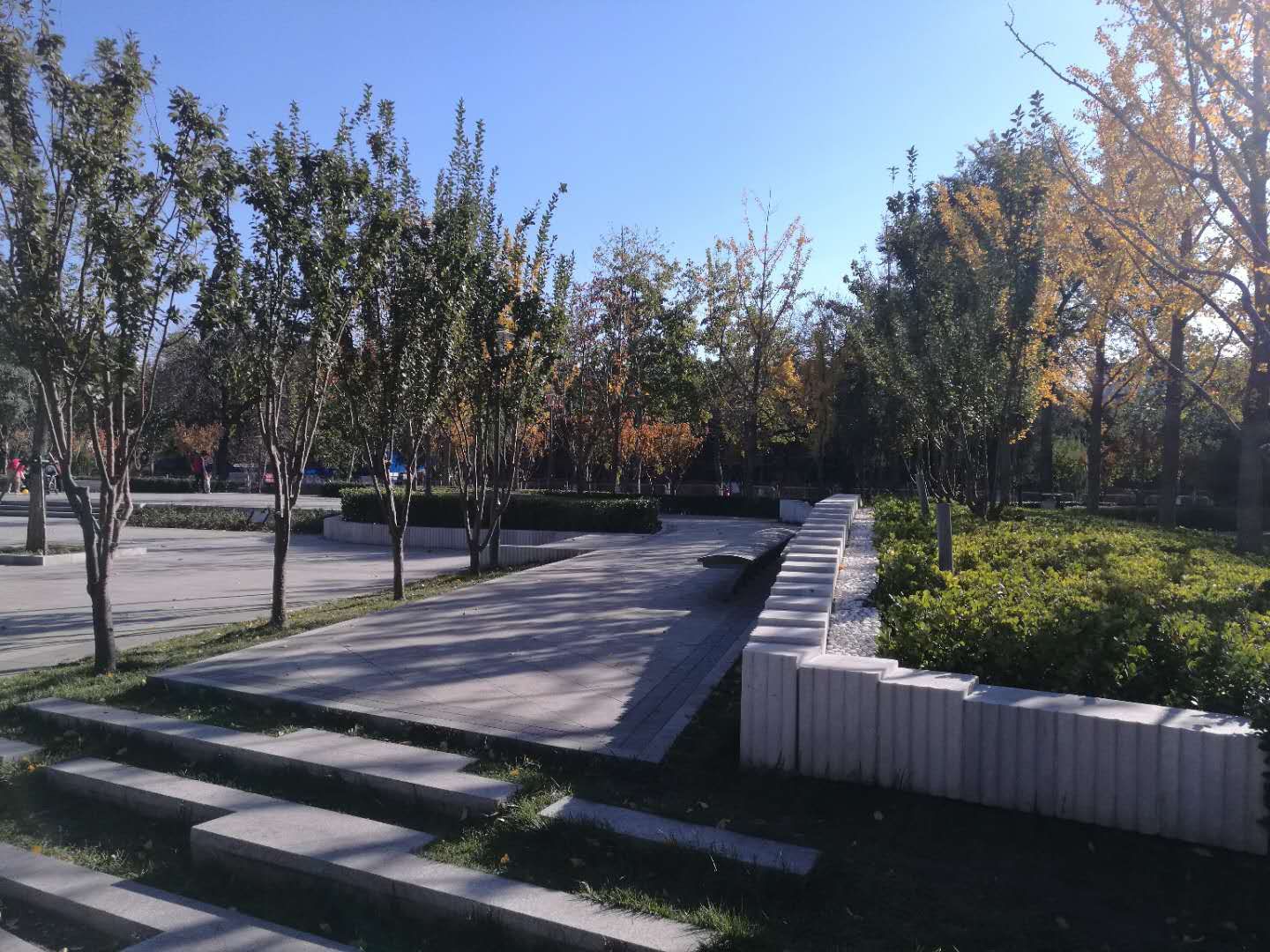 定慧东里 environment