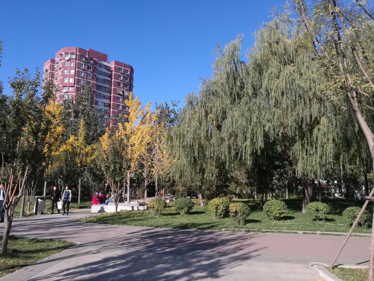 定慧东里 environment