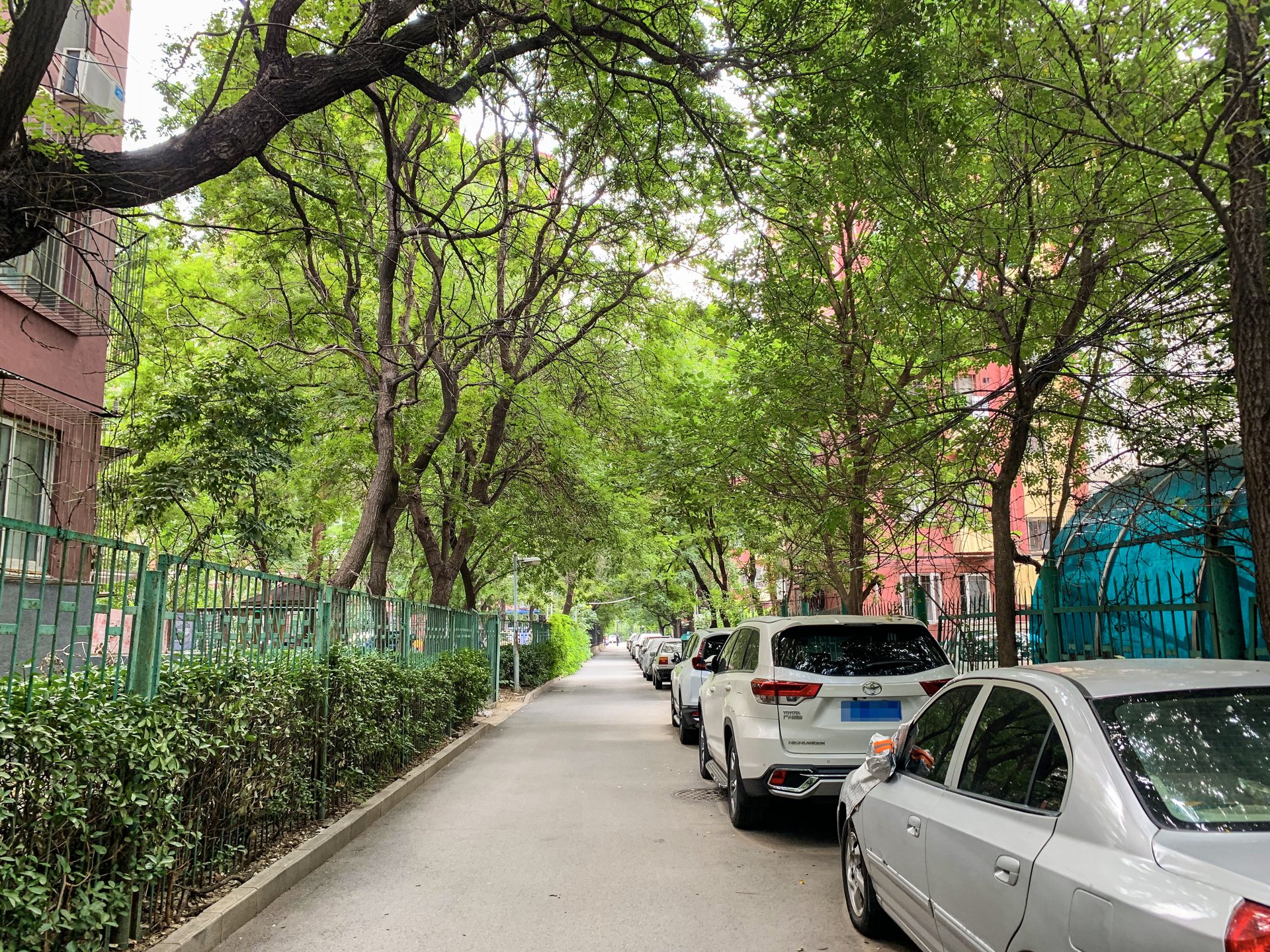 定慧东里 environment