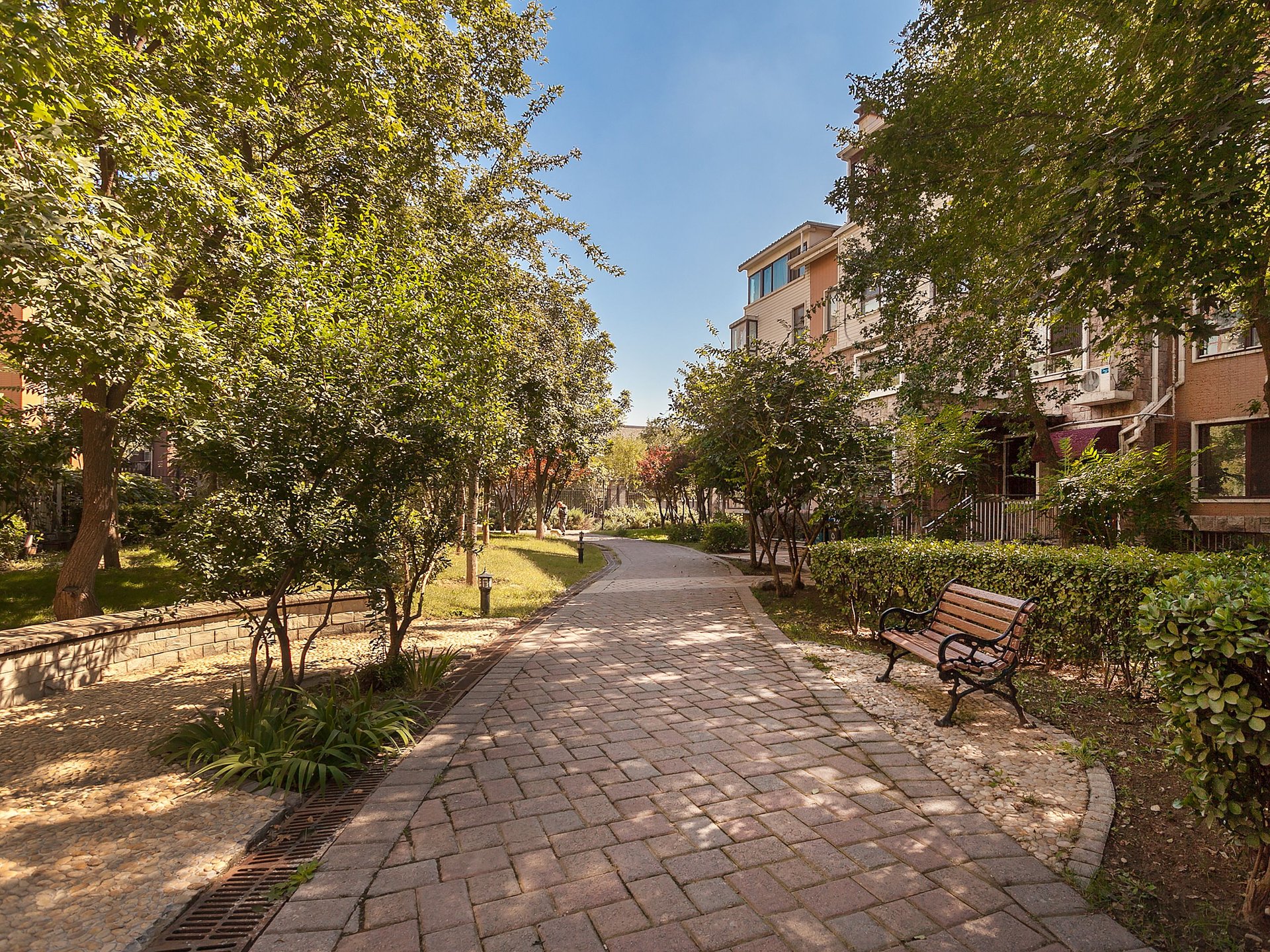 顶秀青溪 environment