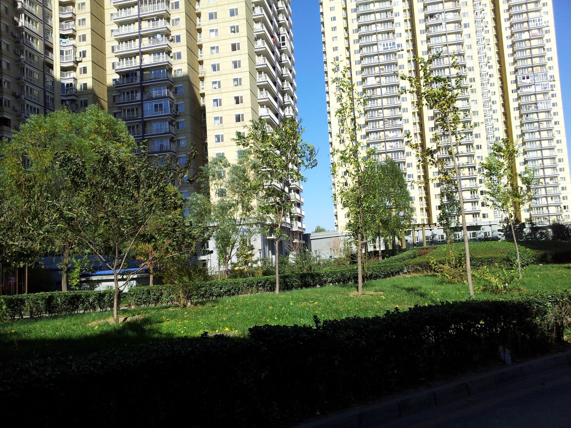 顶秀青溪 environment