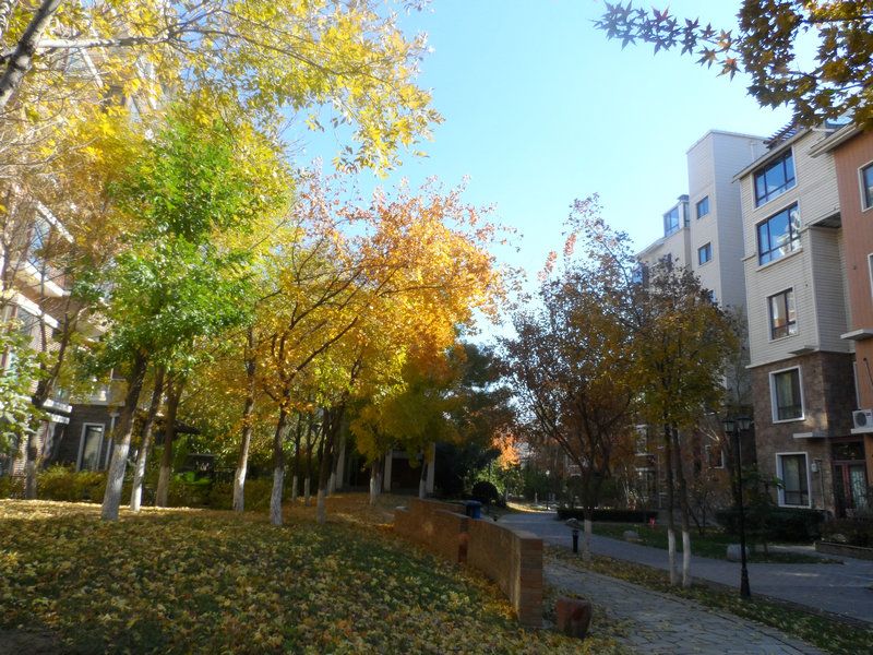 顶秀青溪 environment