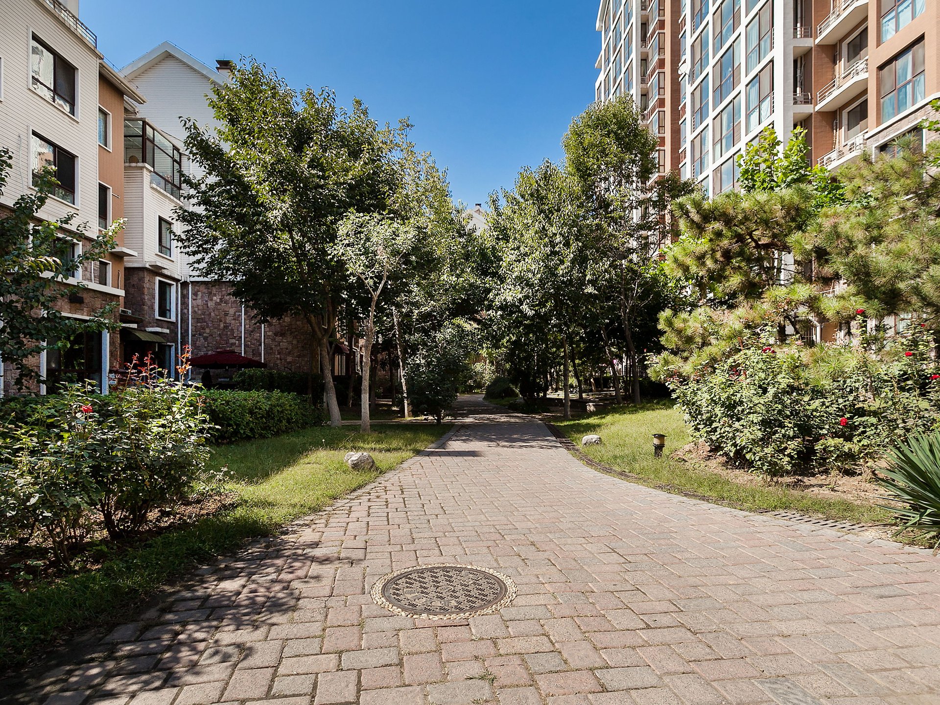 顶秀青溪 environment