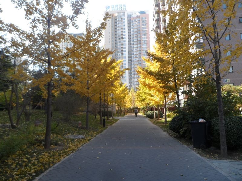 东恒时代二期 environment