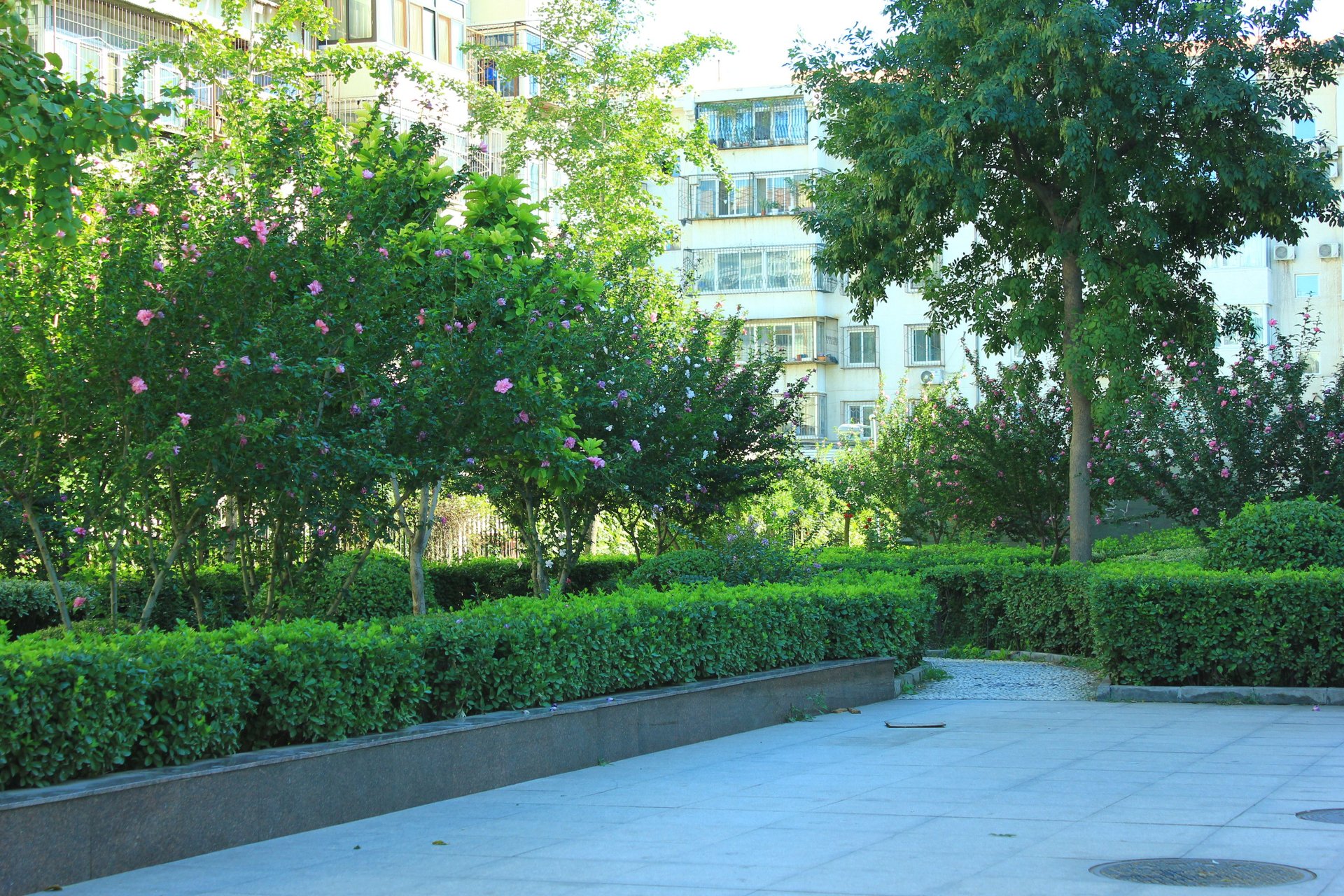 东花市北里西区 environment