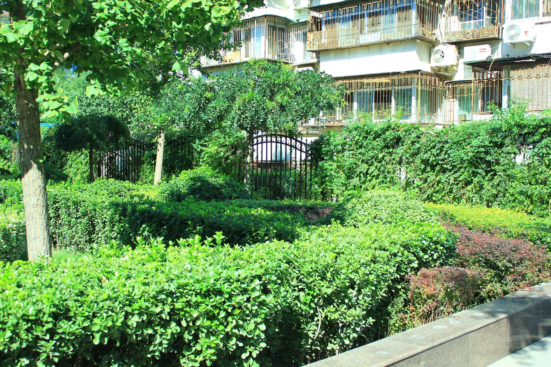 东花市北里西区 environment