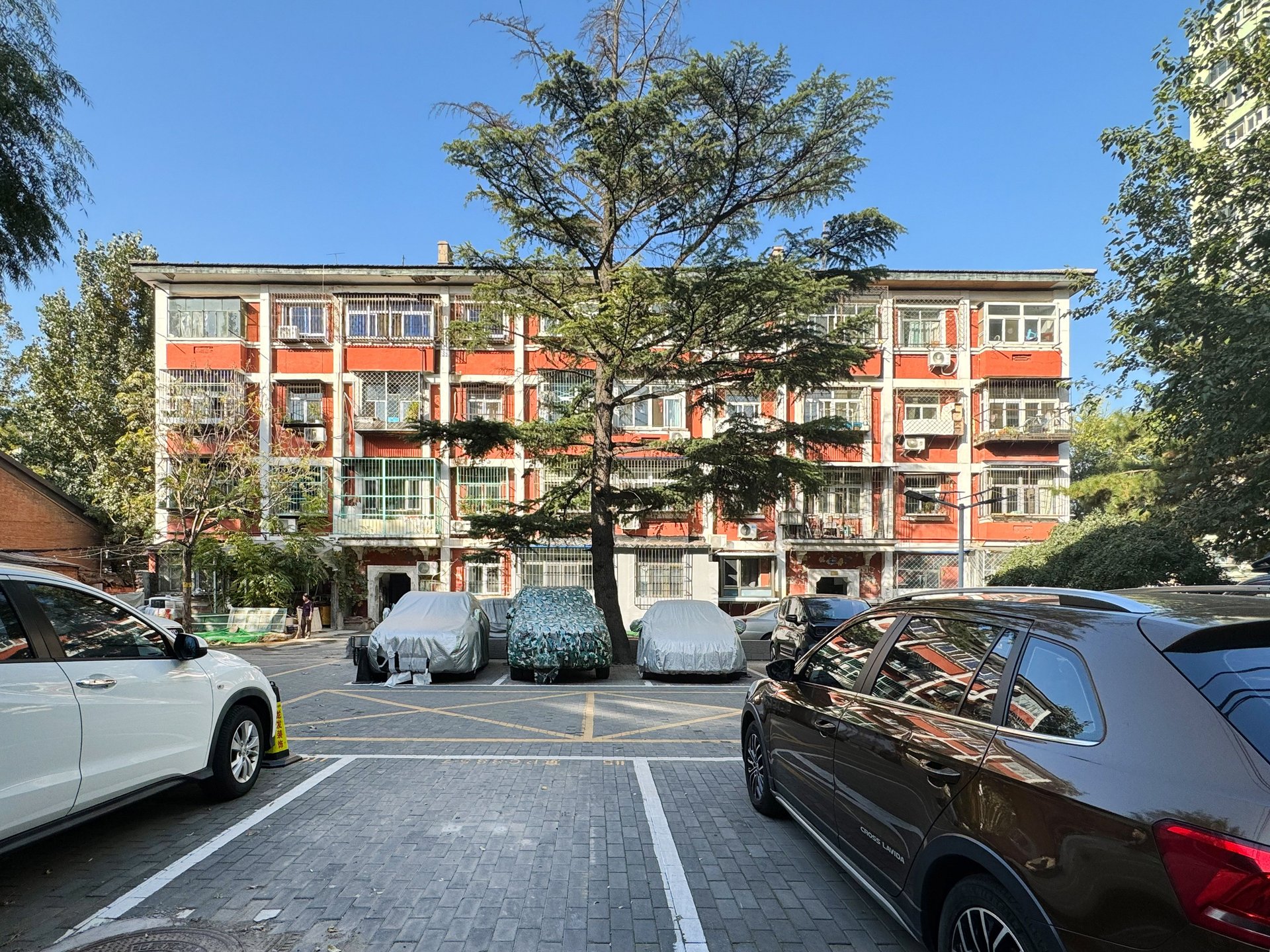 东三亲家坟 environment