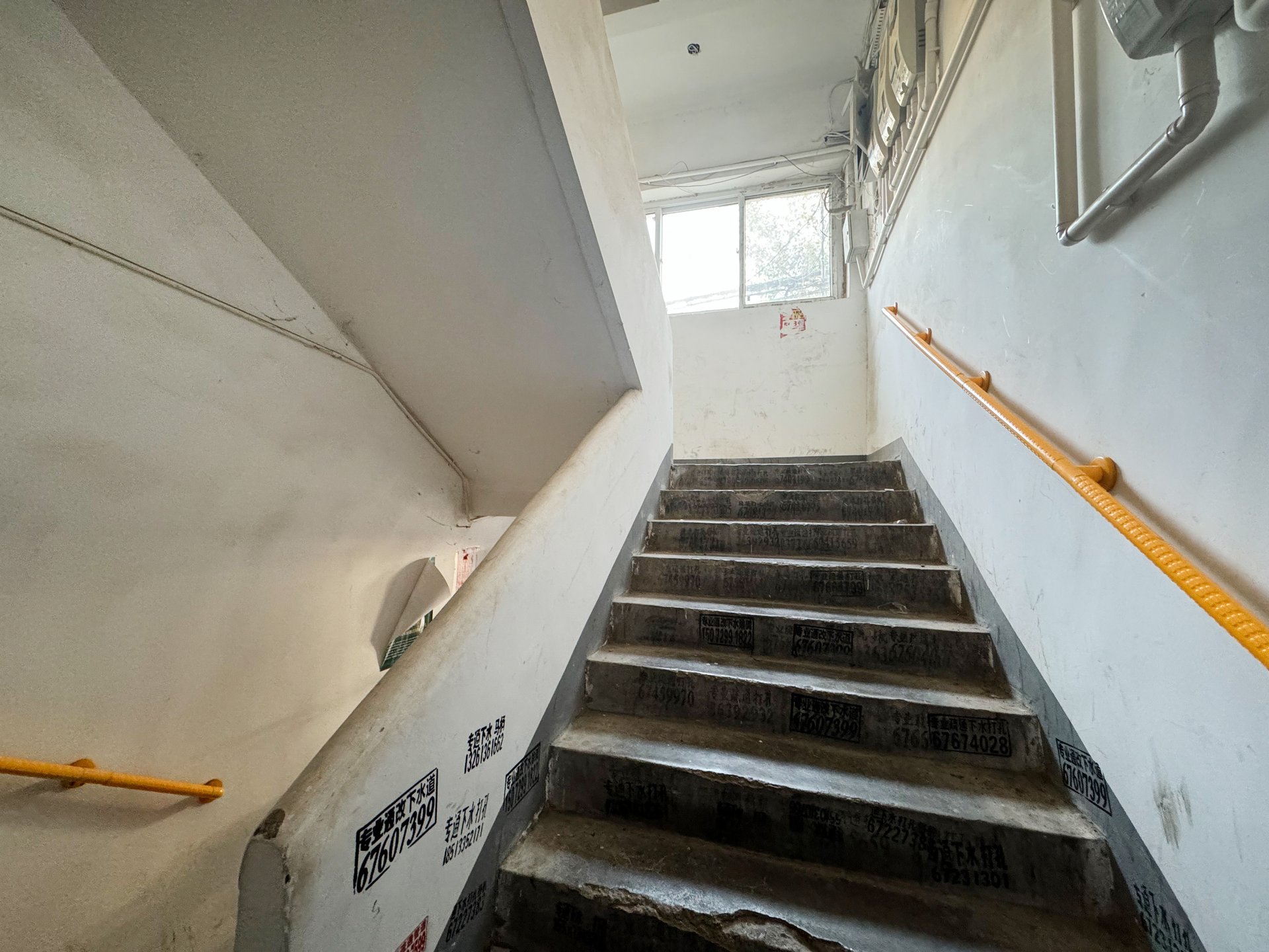 东三亲家坟 environment