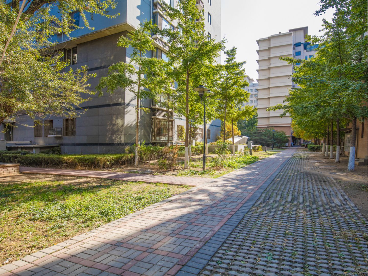 东一时区 environment